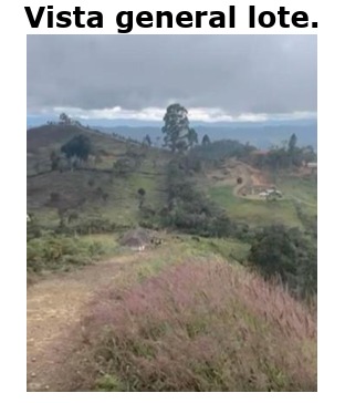 Venta Lote Concepción y San Vicente