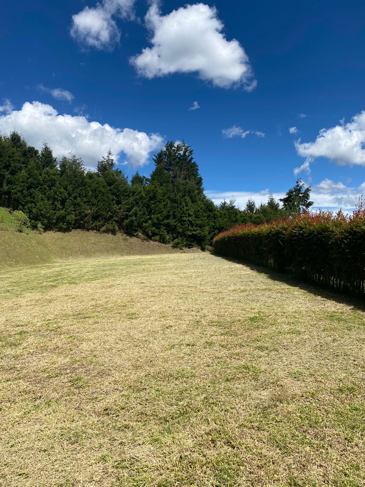 VENDO LOTE EN GUARNE VEREDA MONTAÑEZ