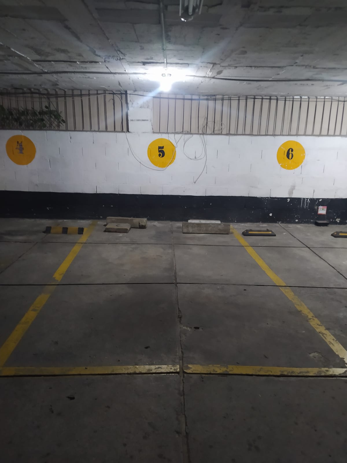 Arriendo Apartamento En Laureles Nogal