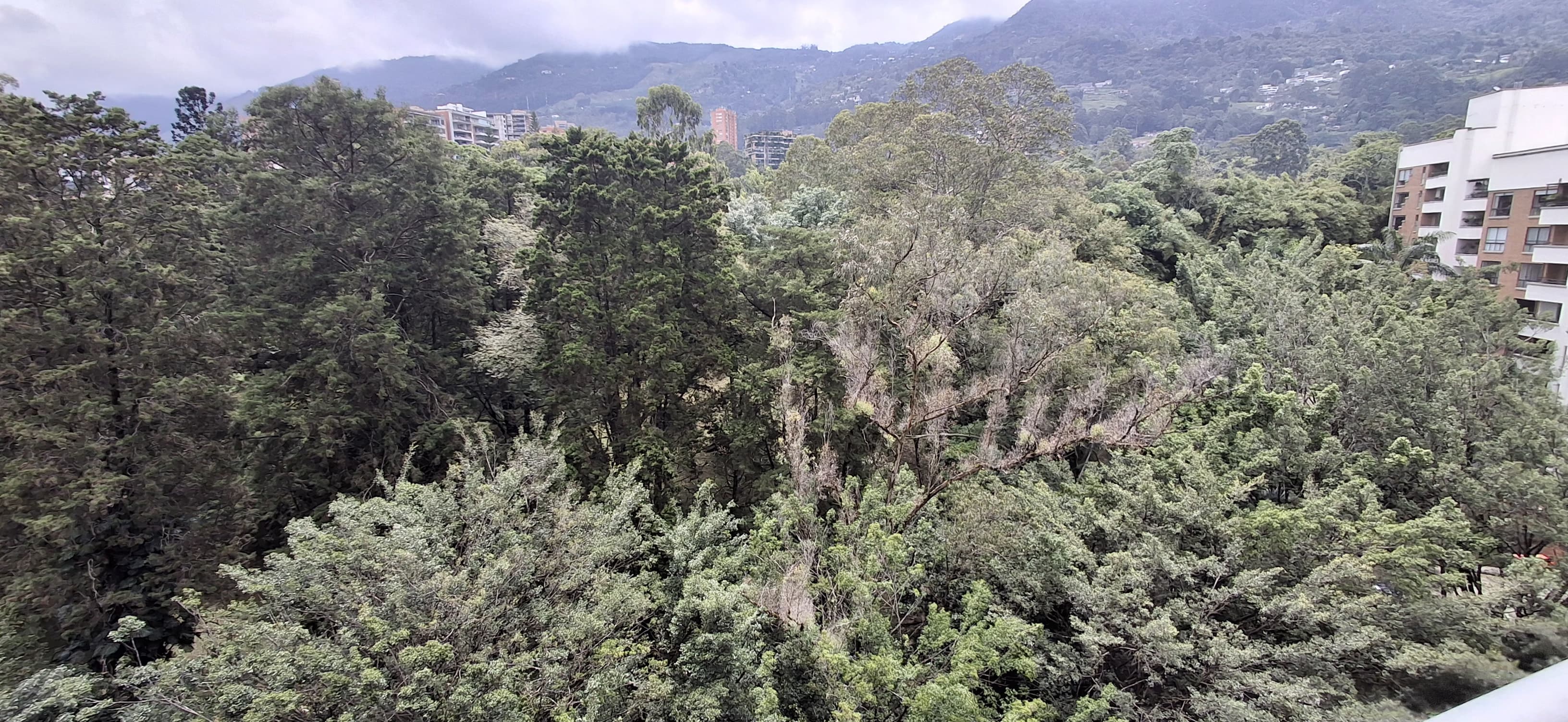 VENDO APARTAMENTO DUPLEX EN SAN LUCAS EL POBLADO