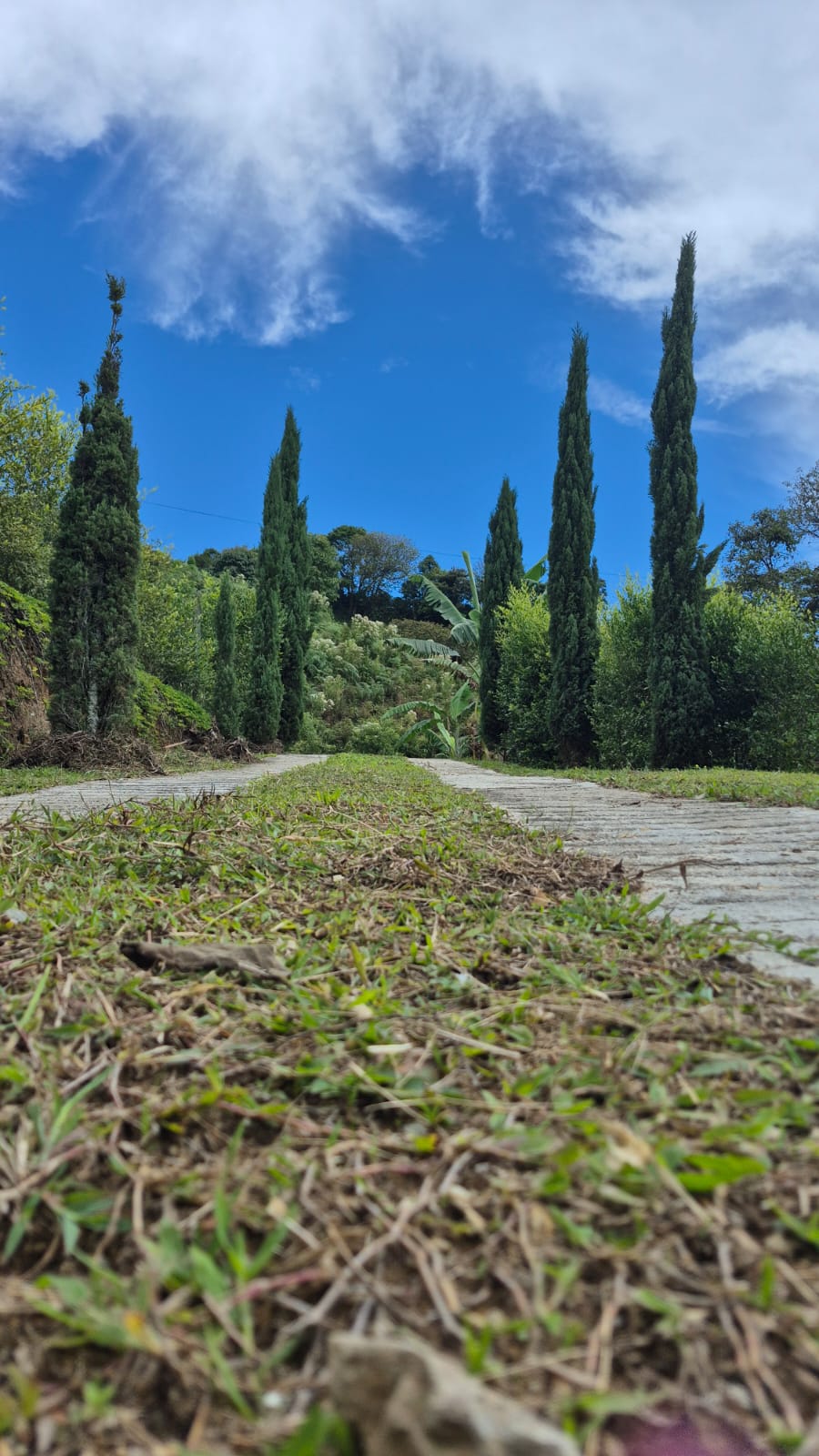 VENDO CASA FINCA EN FREDONIA