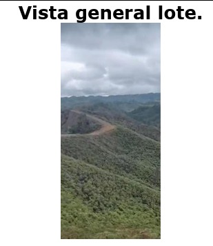 Venta Lote Concepción y San Vicente