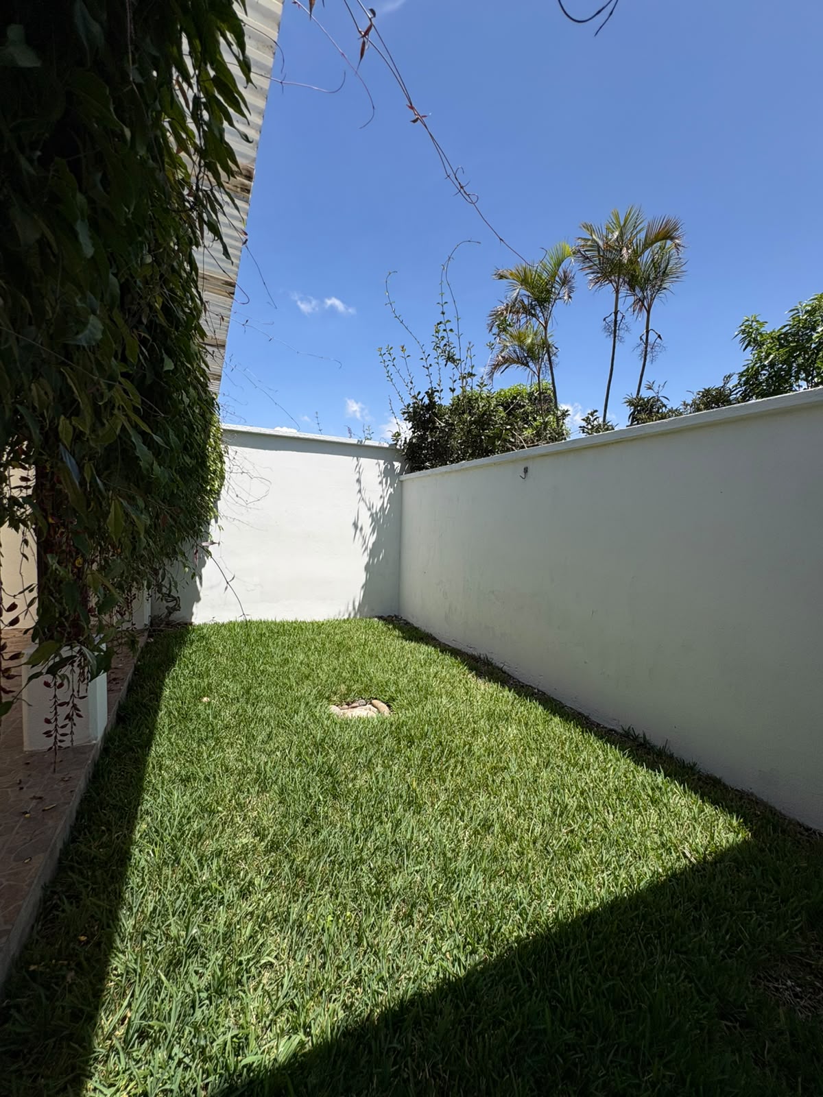 Casa en Alquiler Jardines de San Isidro, zona 16 - Miniatura 6