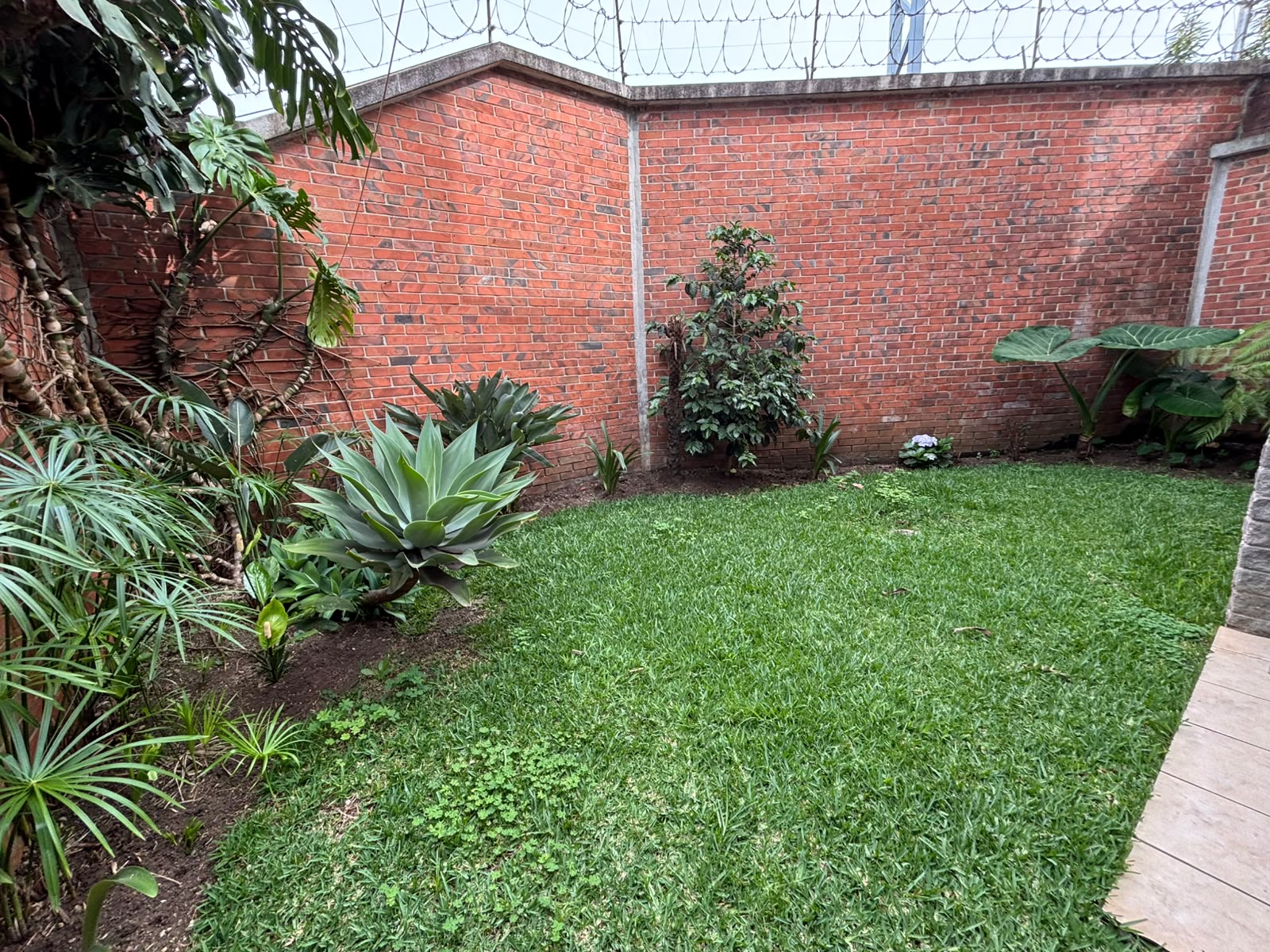 Casa en Alquiler Condominio Santa Anita 2, Km. 18.6 CES SJP - Miniatura 10
