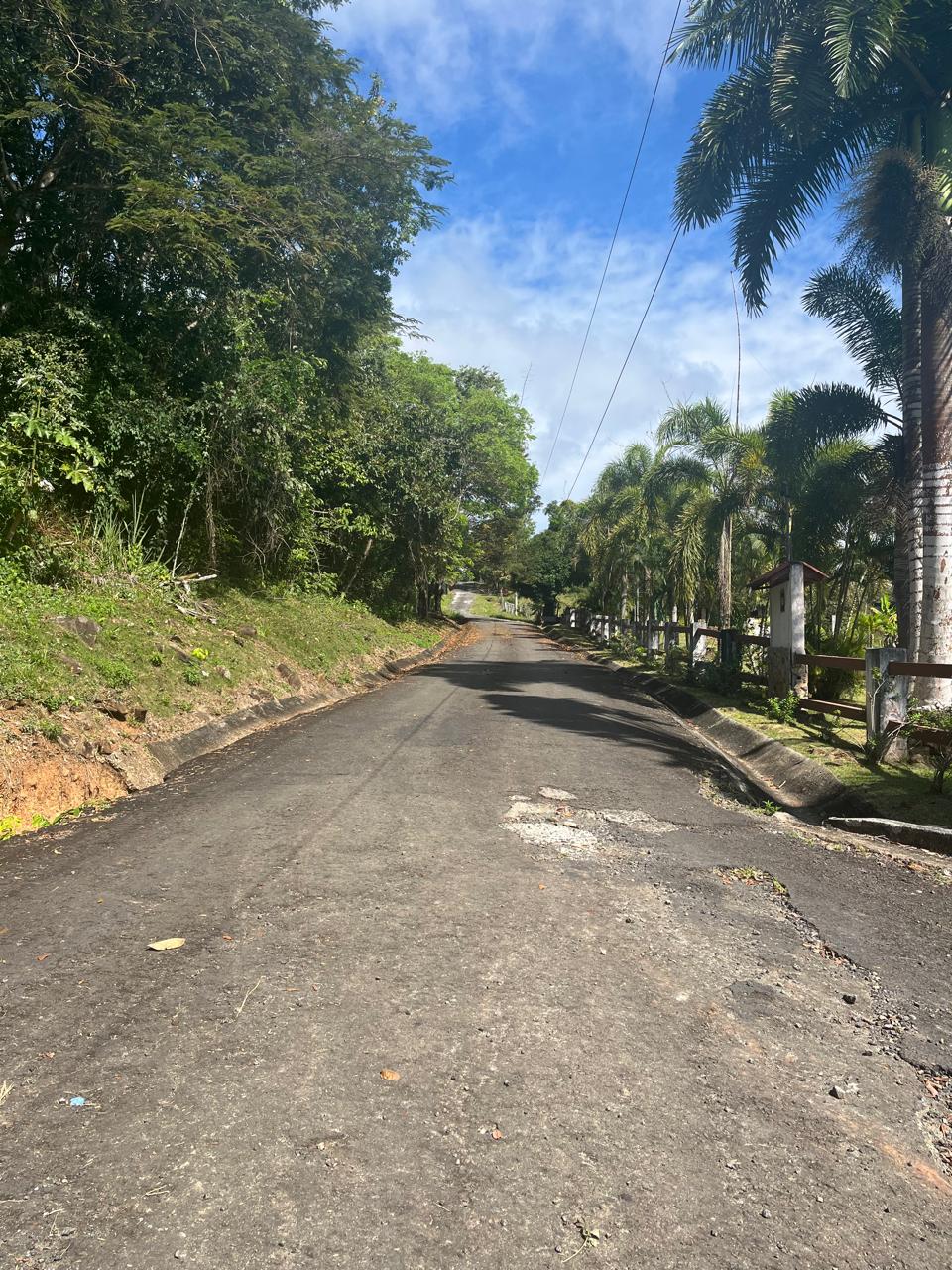 VENTA DE TERRENO - Residencial Las Palmas – Villa del Rosario, Capira
