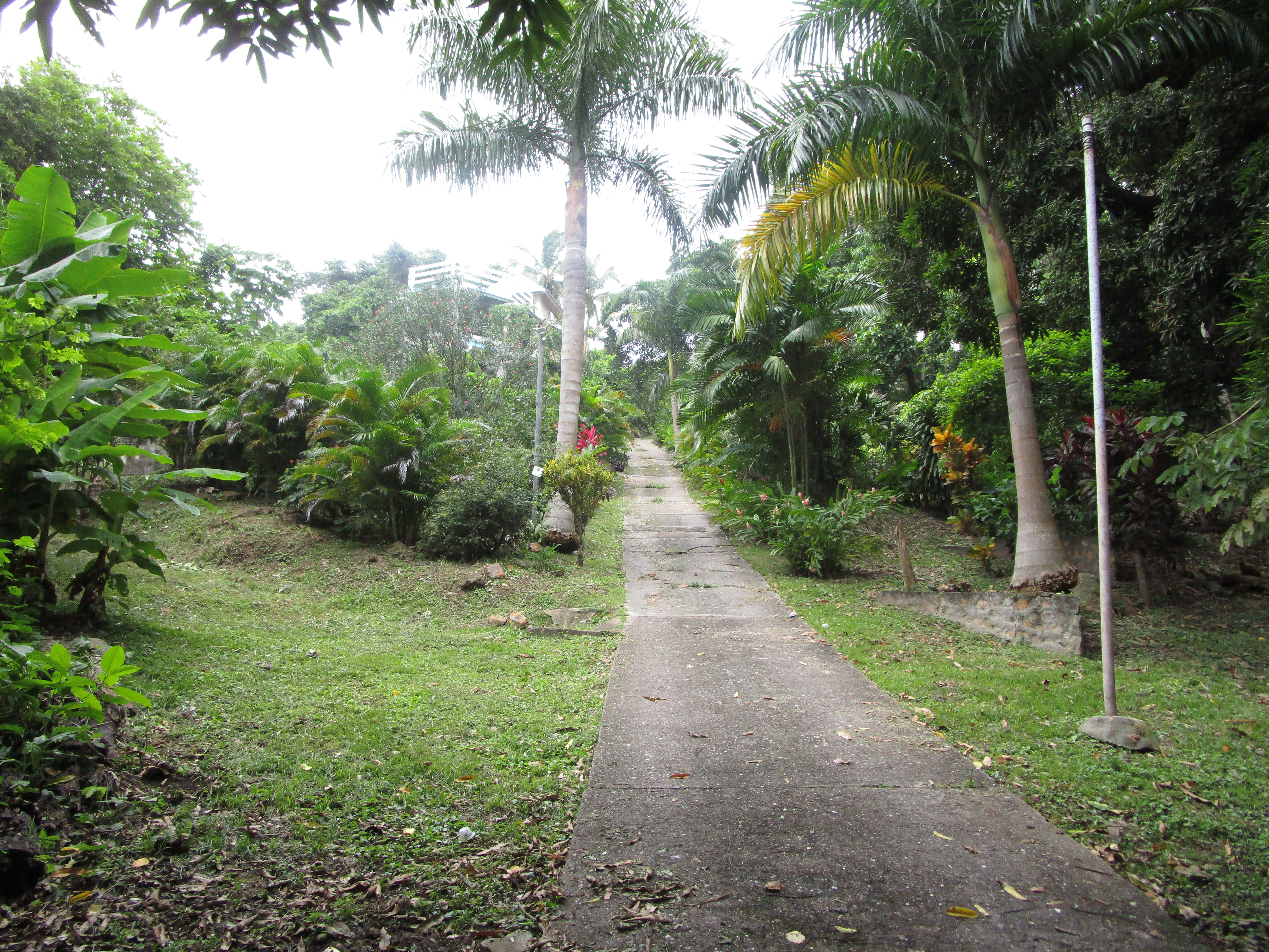 Venta de terreno en Isla Taboga
