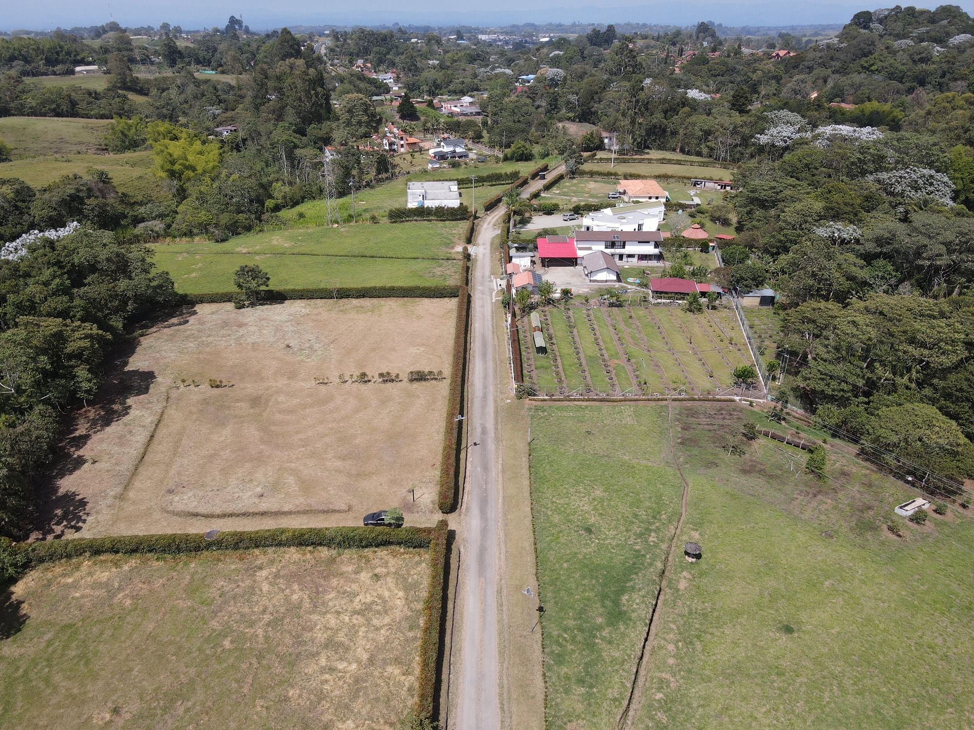 Lote para la venta - Circasia