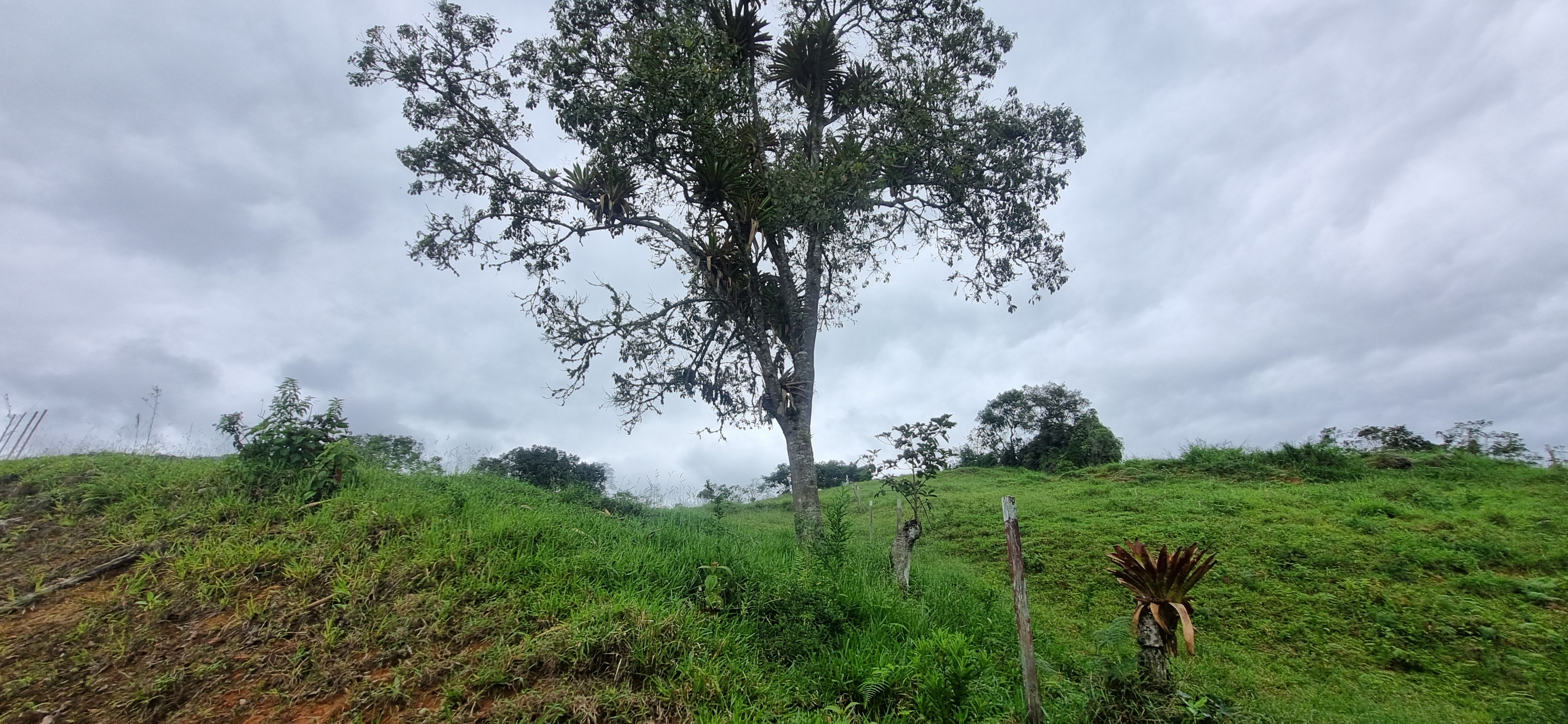Vendo Finca en el Km 26 Dagua  Via al mar W9384364 ISA-CPH