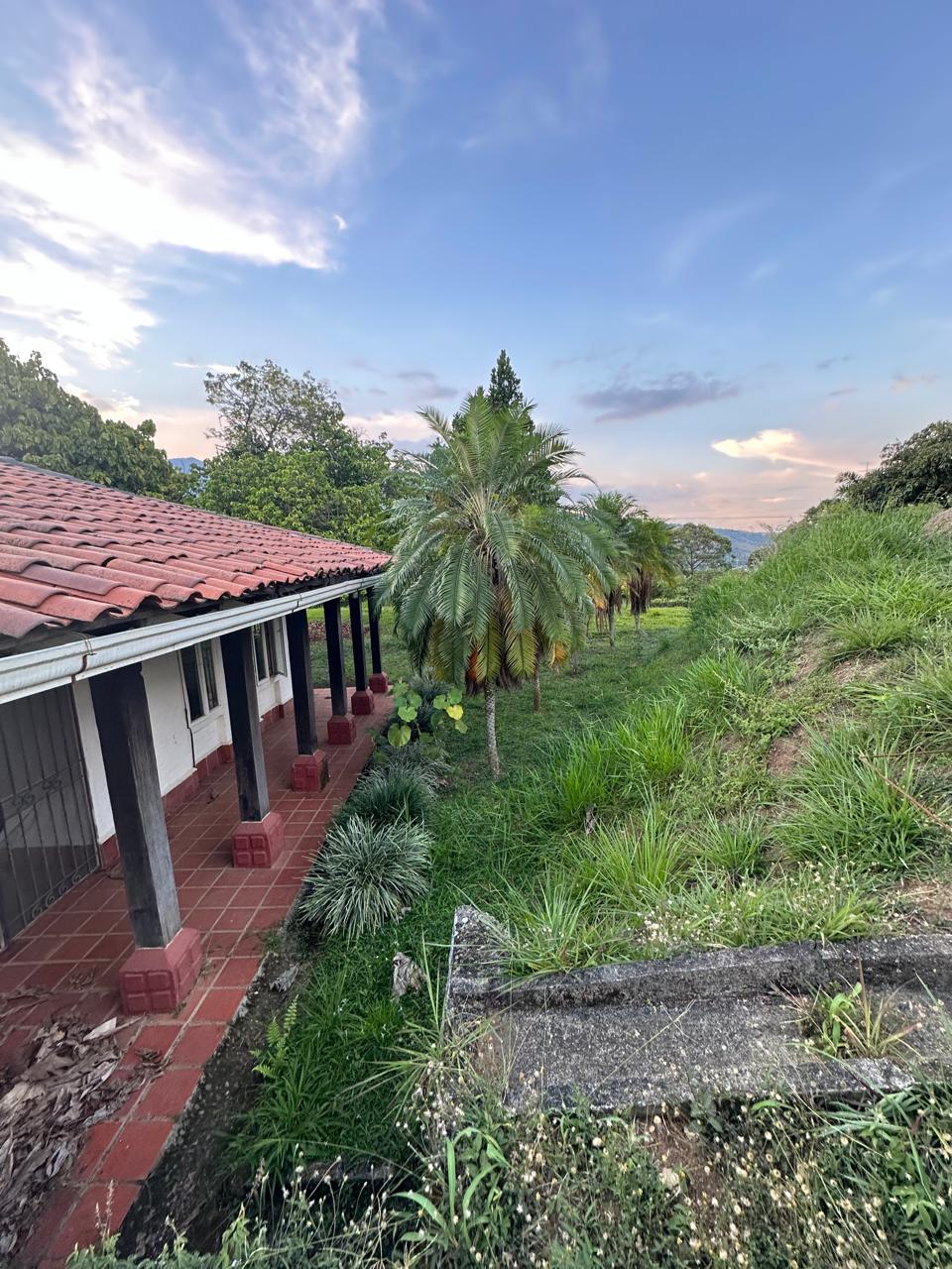 VENTA LOTE 5000 METROS