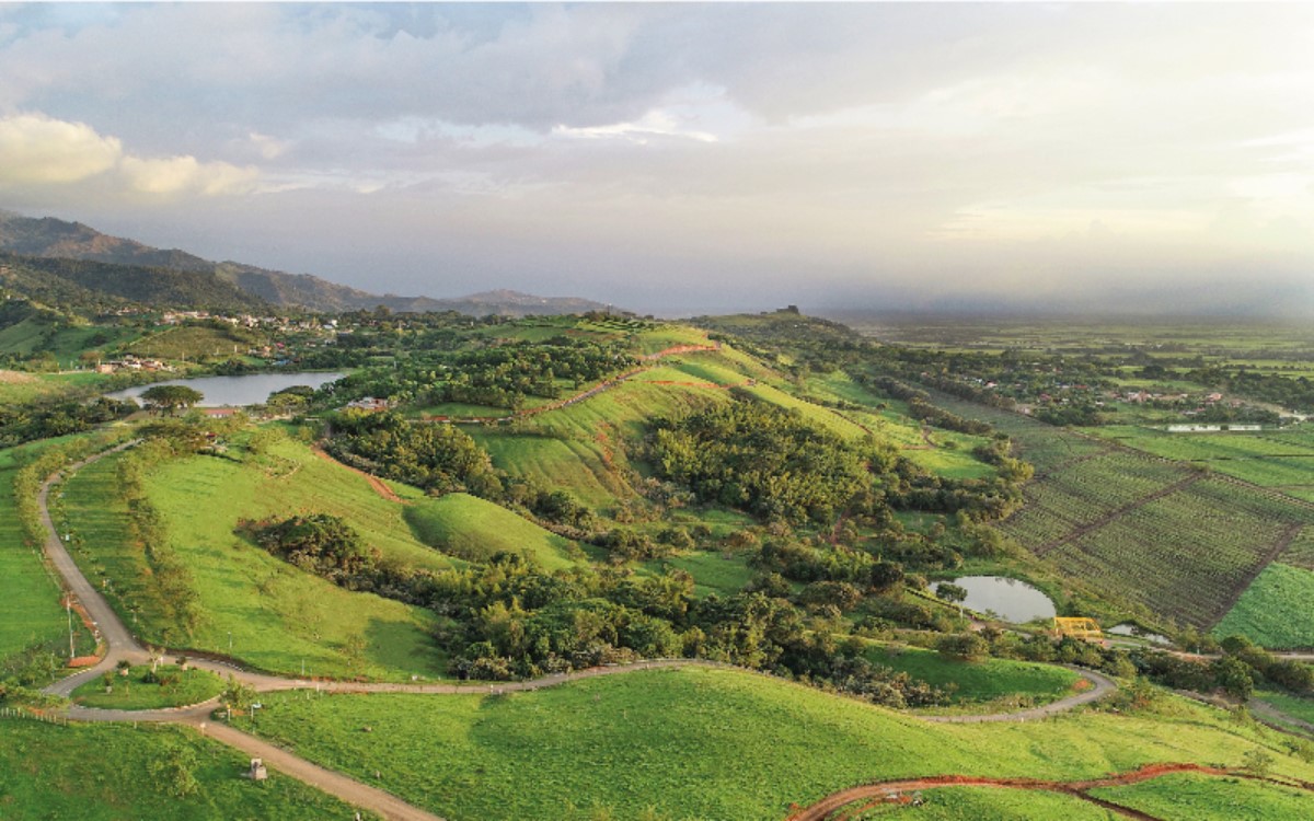VENTA LOTE LAGOS DE  MARACAIBO PALMIRA