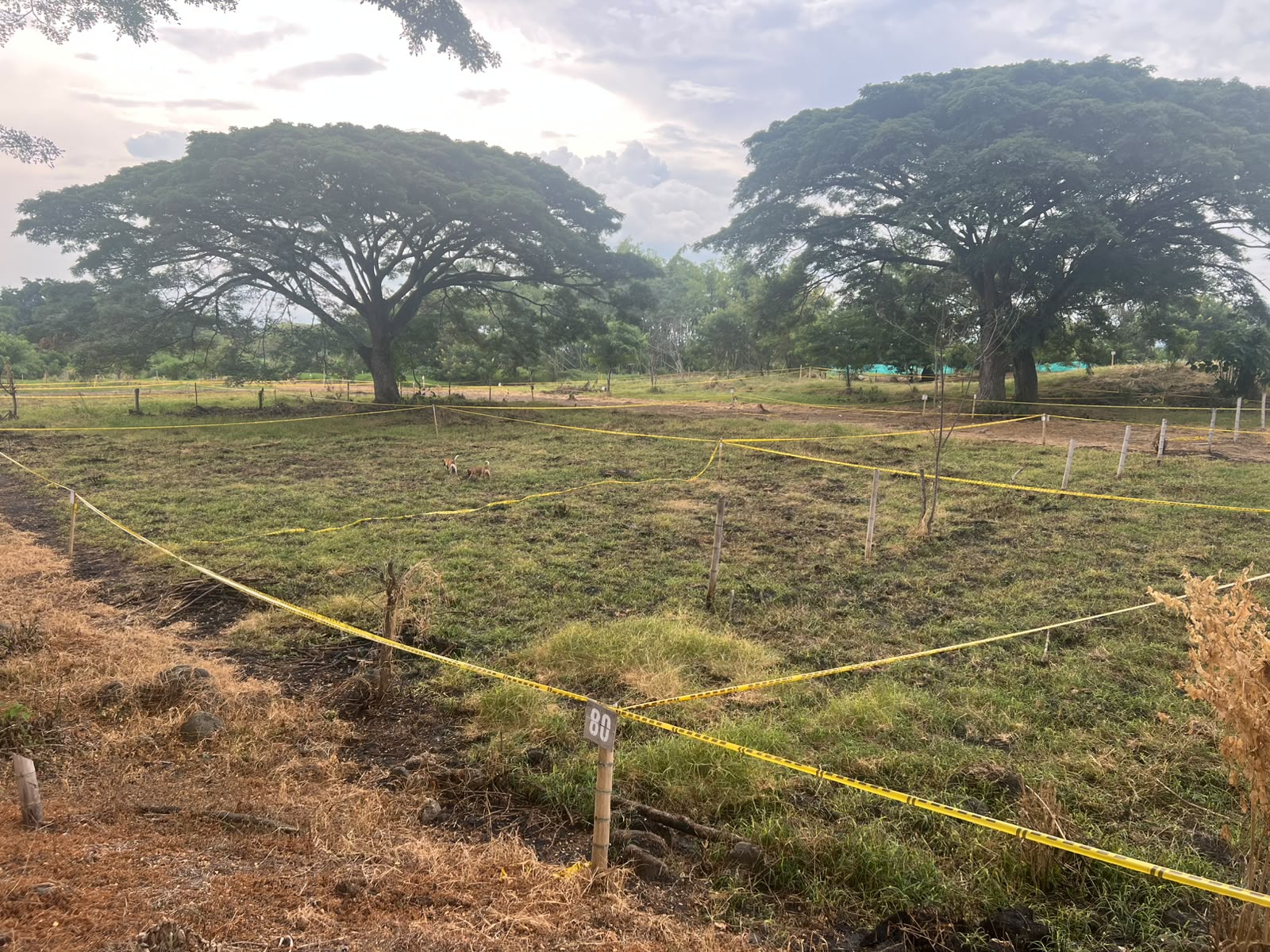 LOTES EN VENTA PARCELACION LA MARTINA II DESDE 200M2