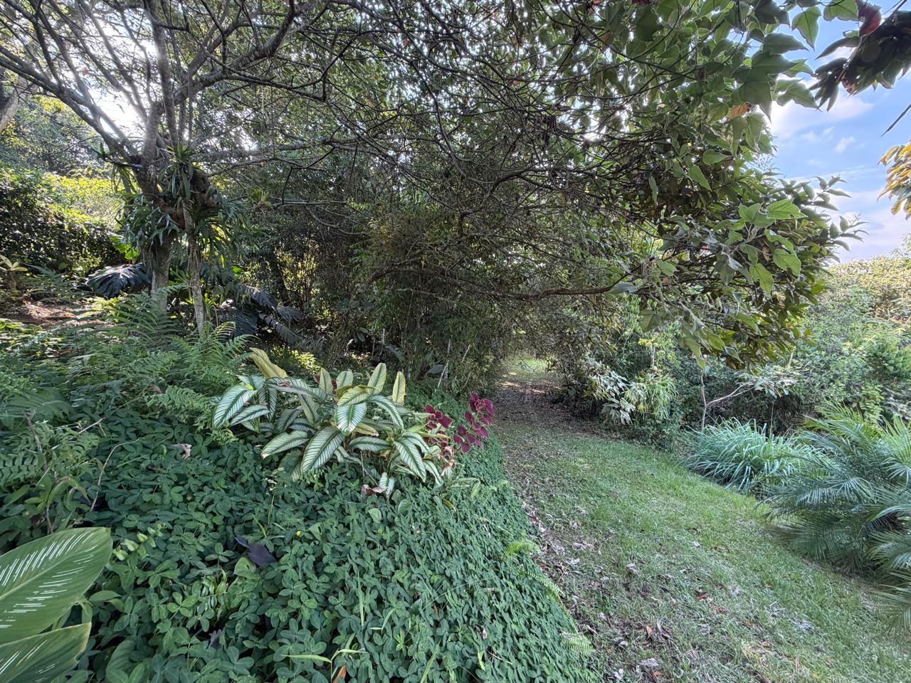 Lote en condominio