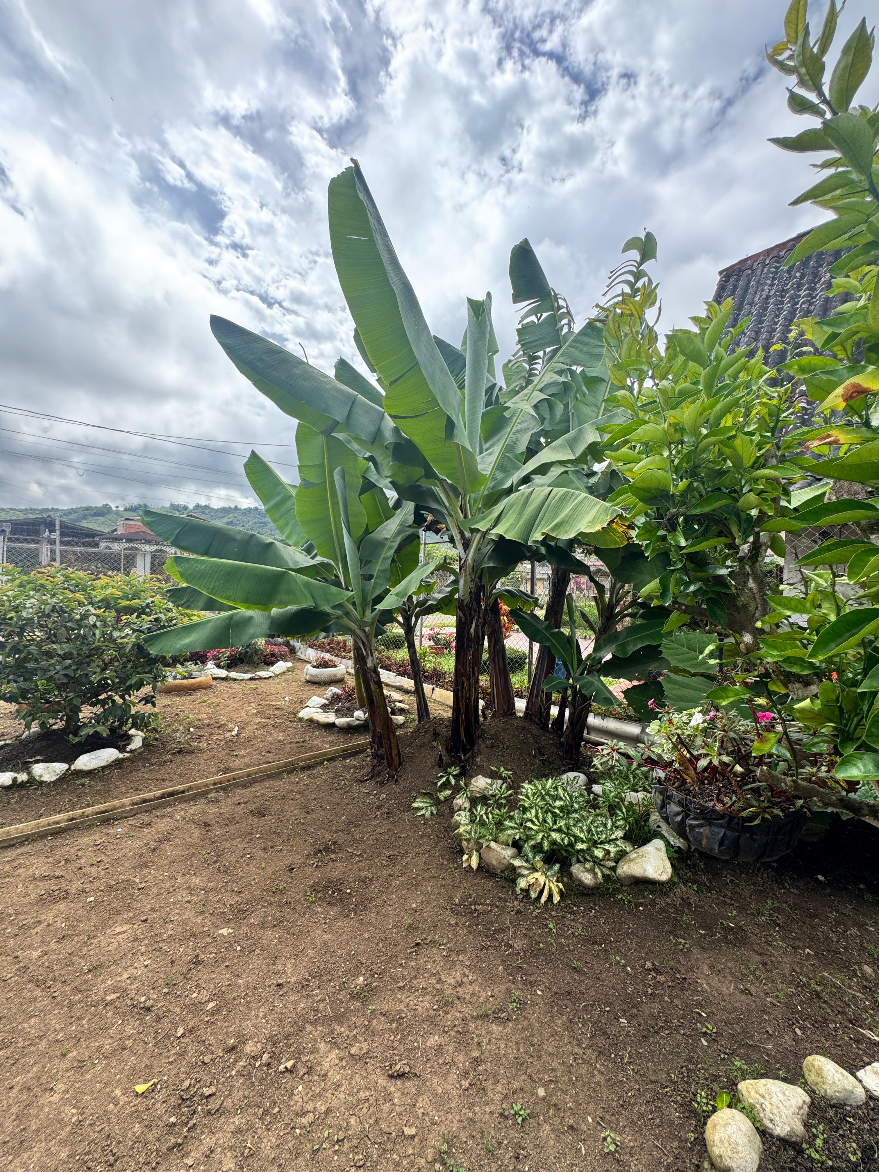 VENTA DE CASA CAMPESTRE EN EL QUEREMAL YK