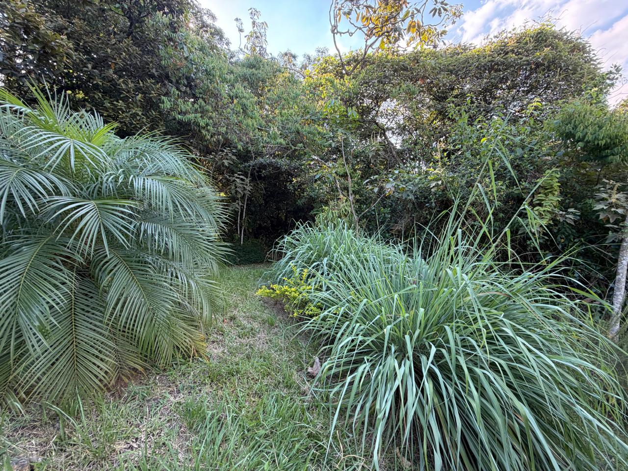 Lote en condominio