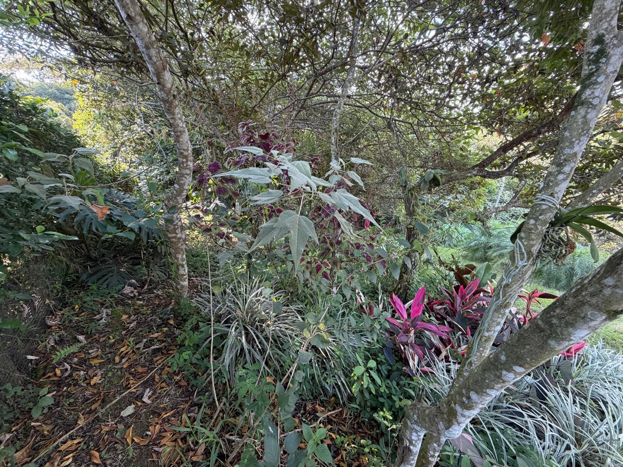 Lote en condominio