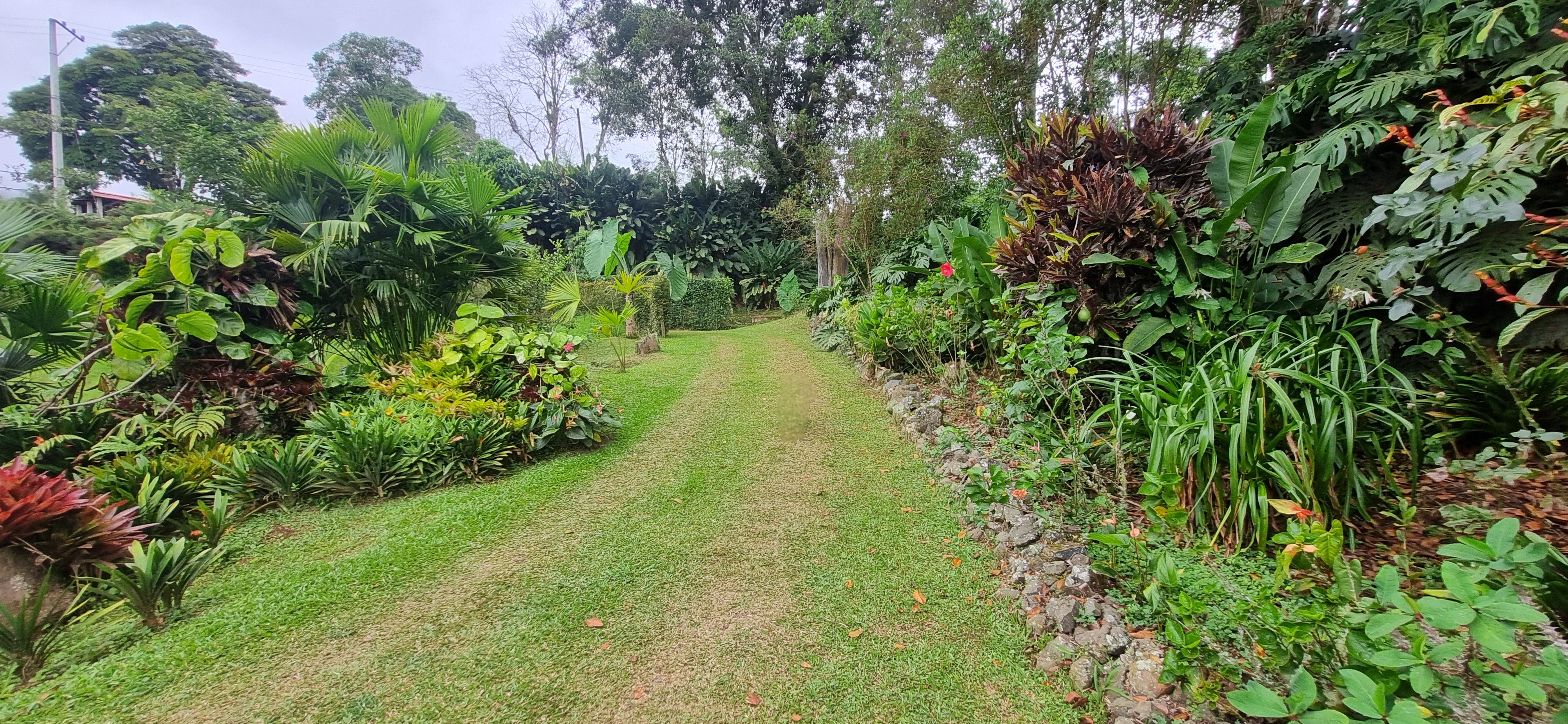 Vendo Finca en el Km 26 Dagua  Via al mar W9384364 ISA-CPH