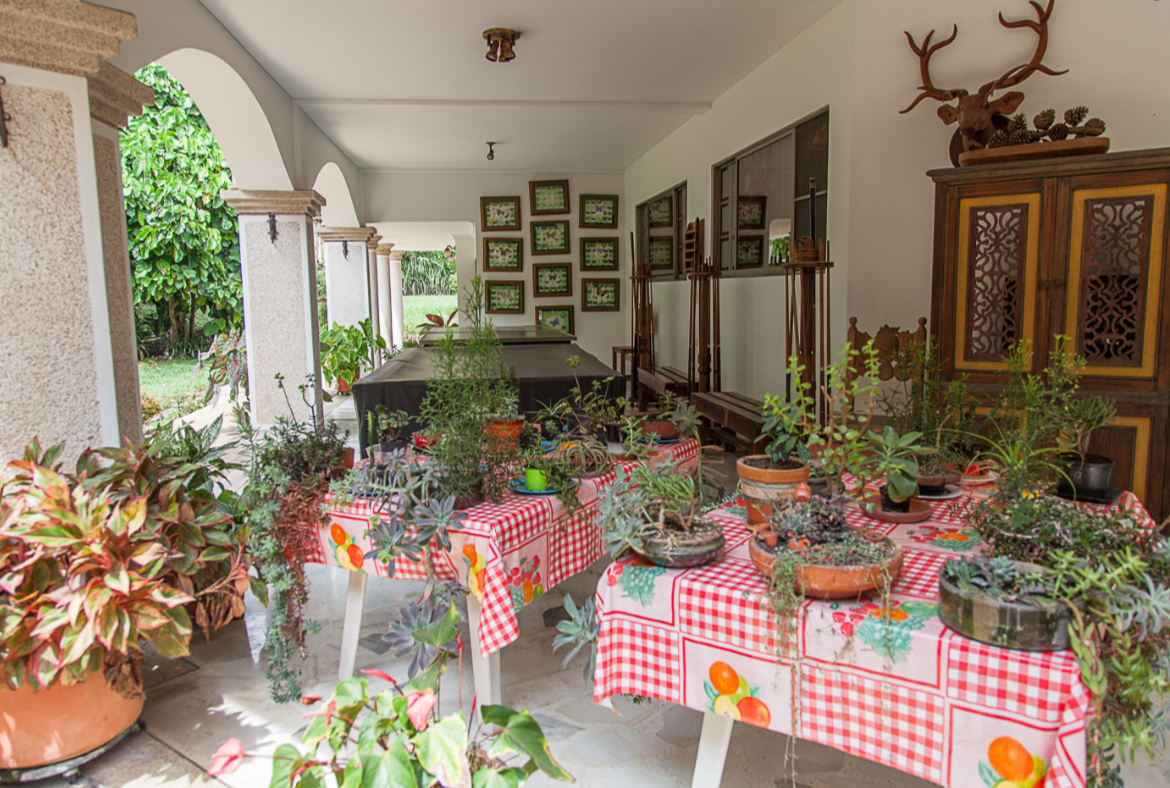 SE VENDE Y SE ALQUILA CASA CAMPESTRE EXTERNA EN PANCE