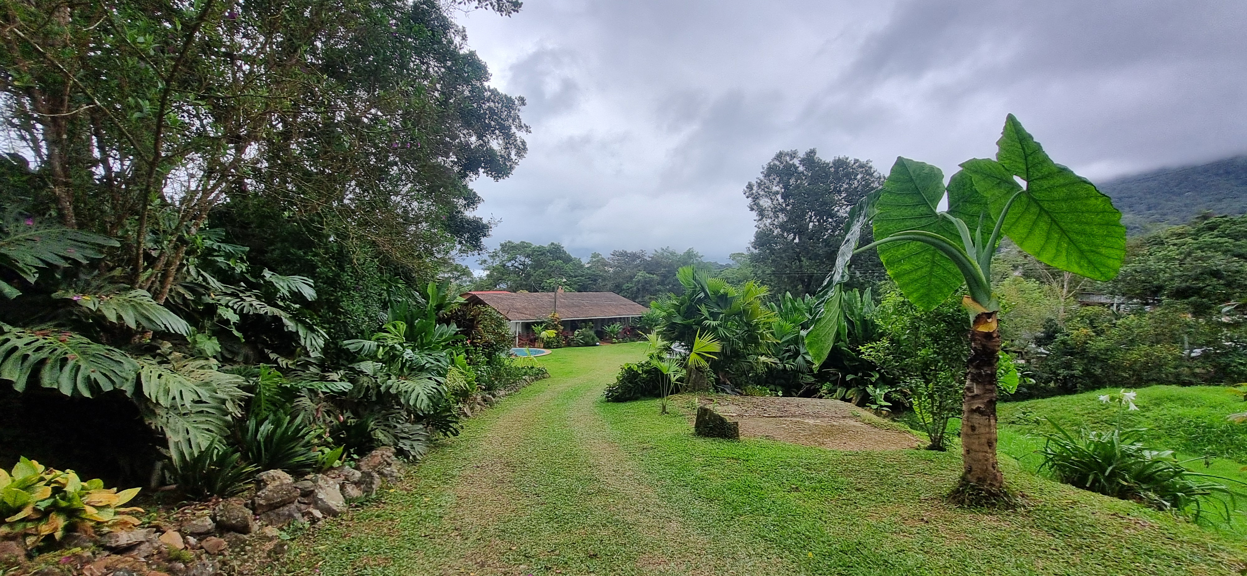 Vendo Finca en el Km 26 Dagua  Via al mar W9384364 ISA-CPH