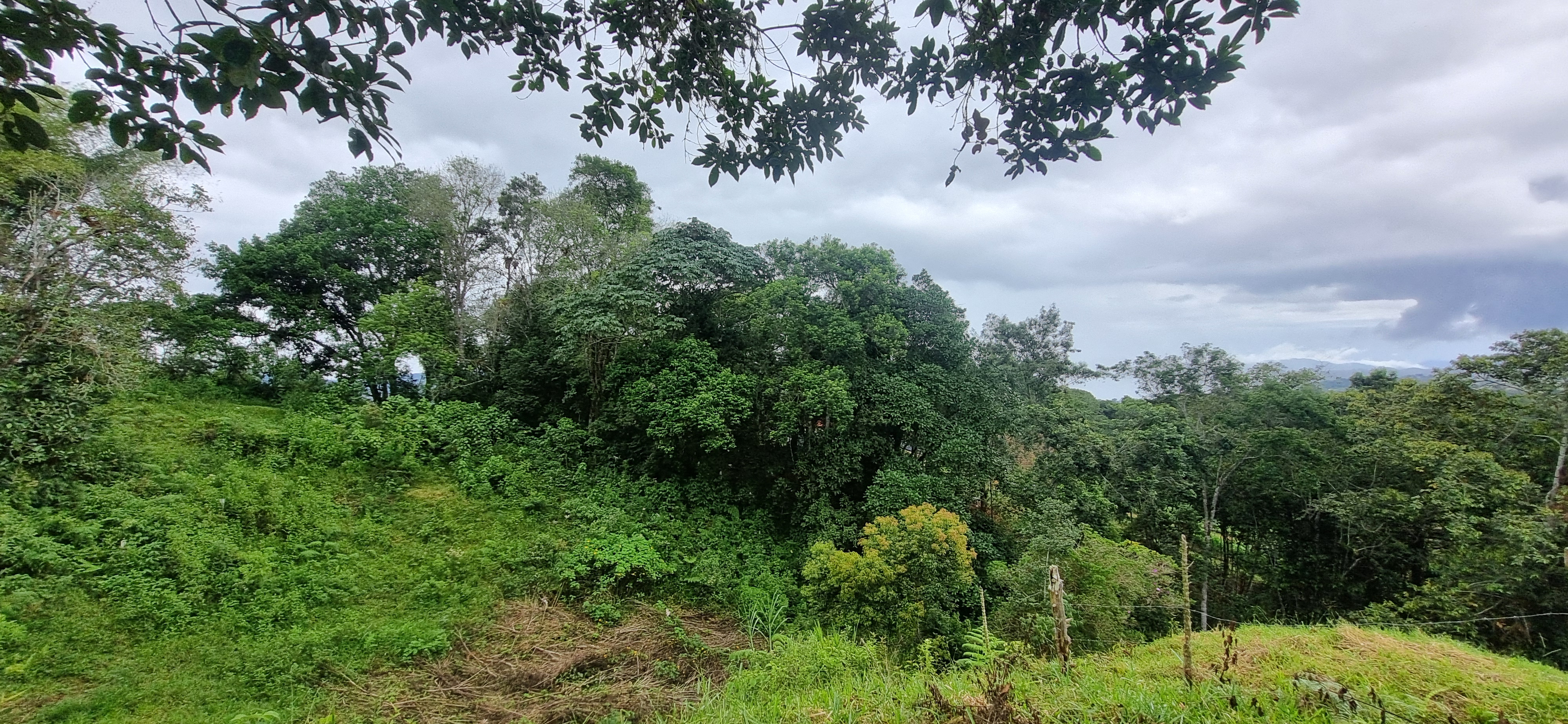 Vendo Finca en el Km 26 Dagua  Via al mar W9384364 ISA-CPH
