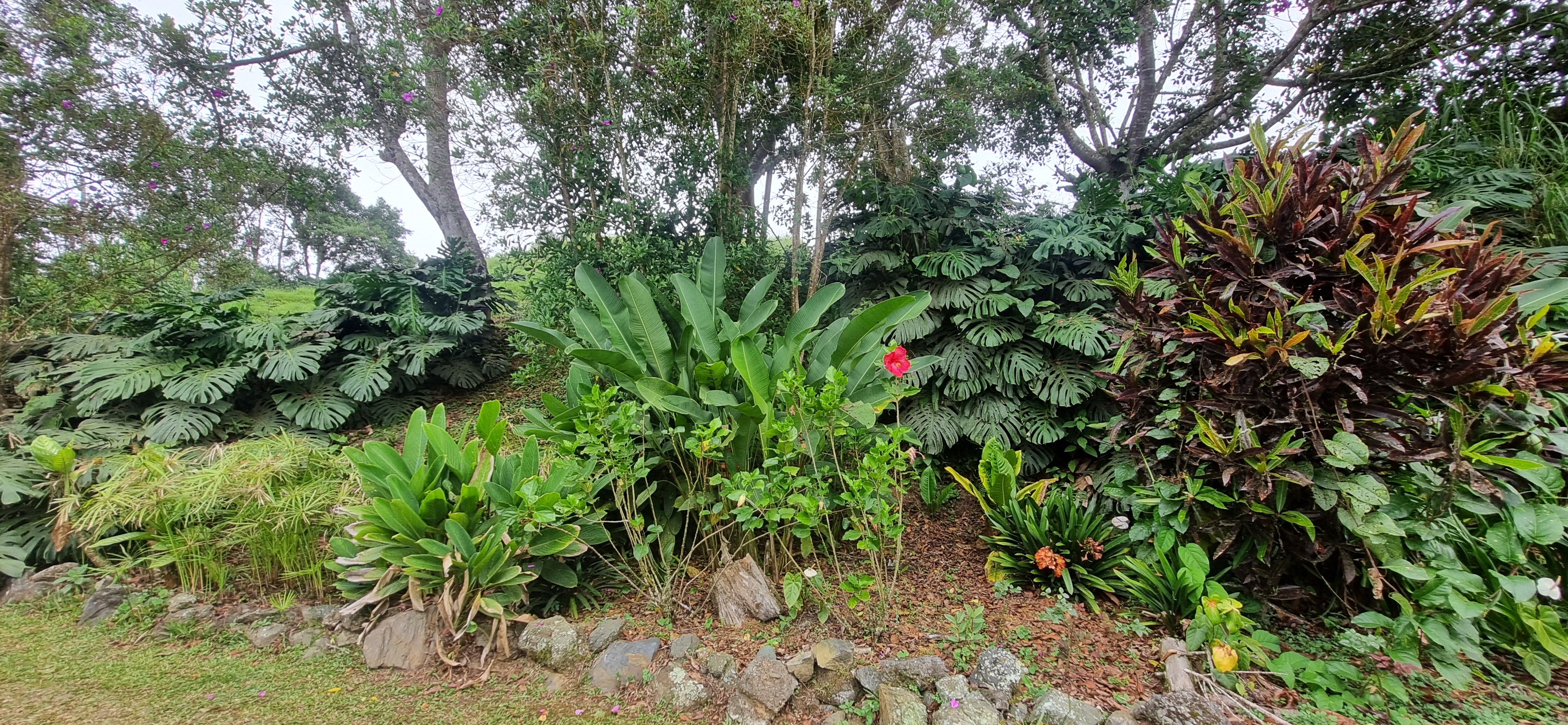 Vendo Finca en el Km 26 Dagua  Via al mar W9384364 ISA-CPH