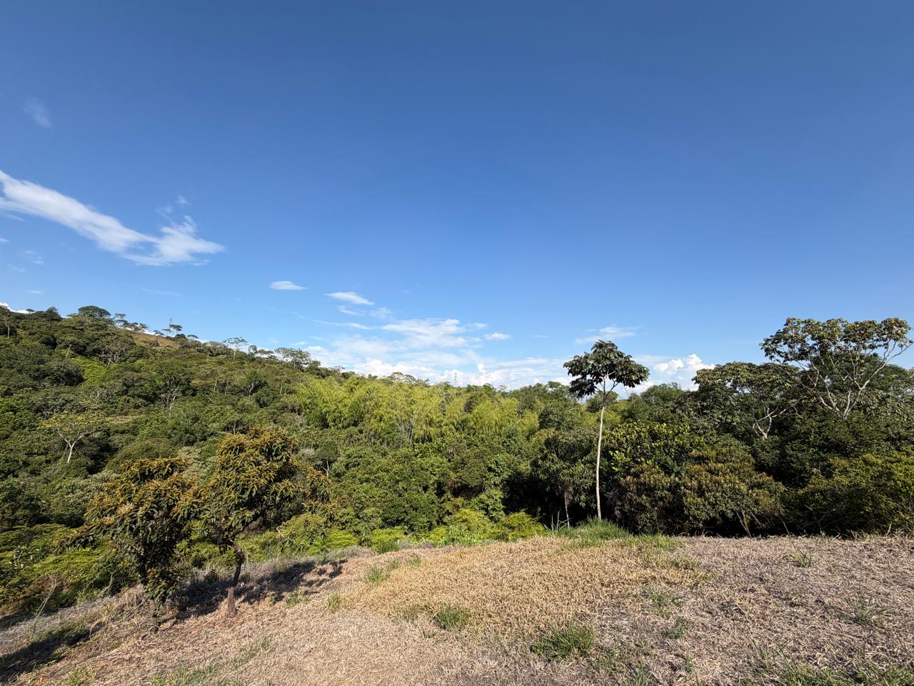 Lote en condominio