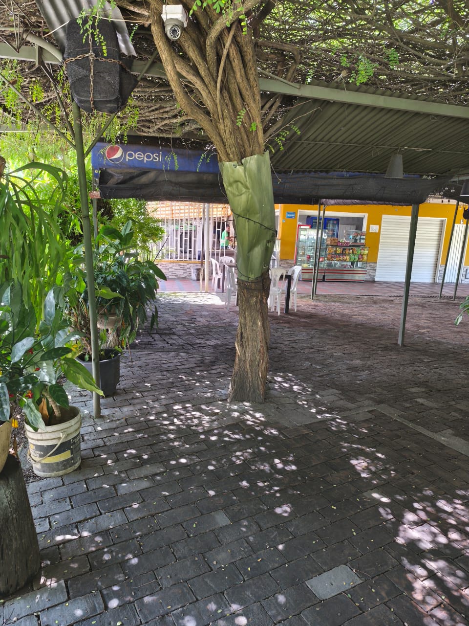VENTA CASA COMERCIAL FRENTE A LA CARRETERA CENTRAL EL CERRITO CH
