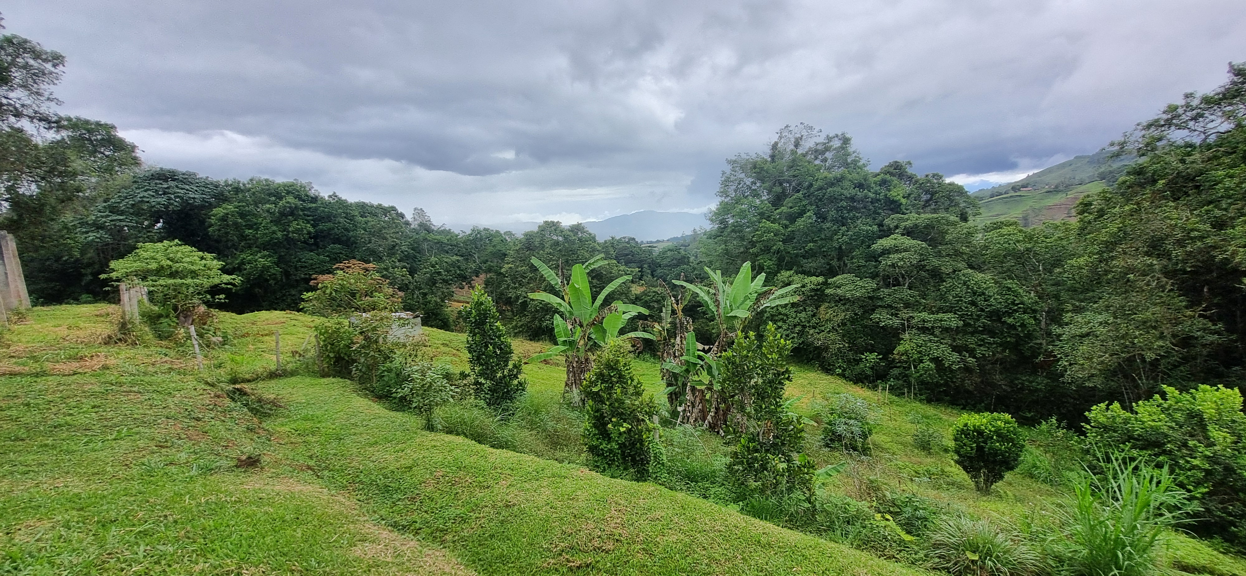 Vendo Finca en el Km 26 Dagua  Via al mar W9384364 ISA-CPH