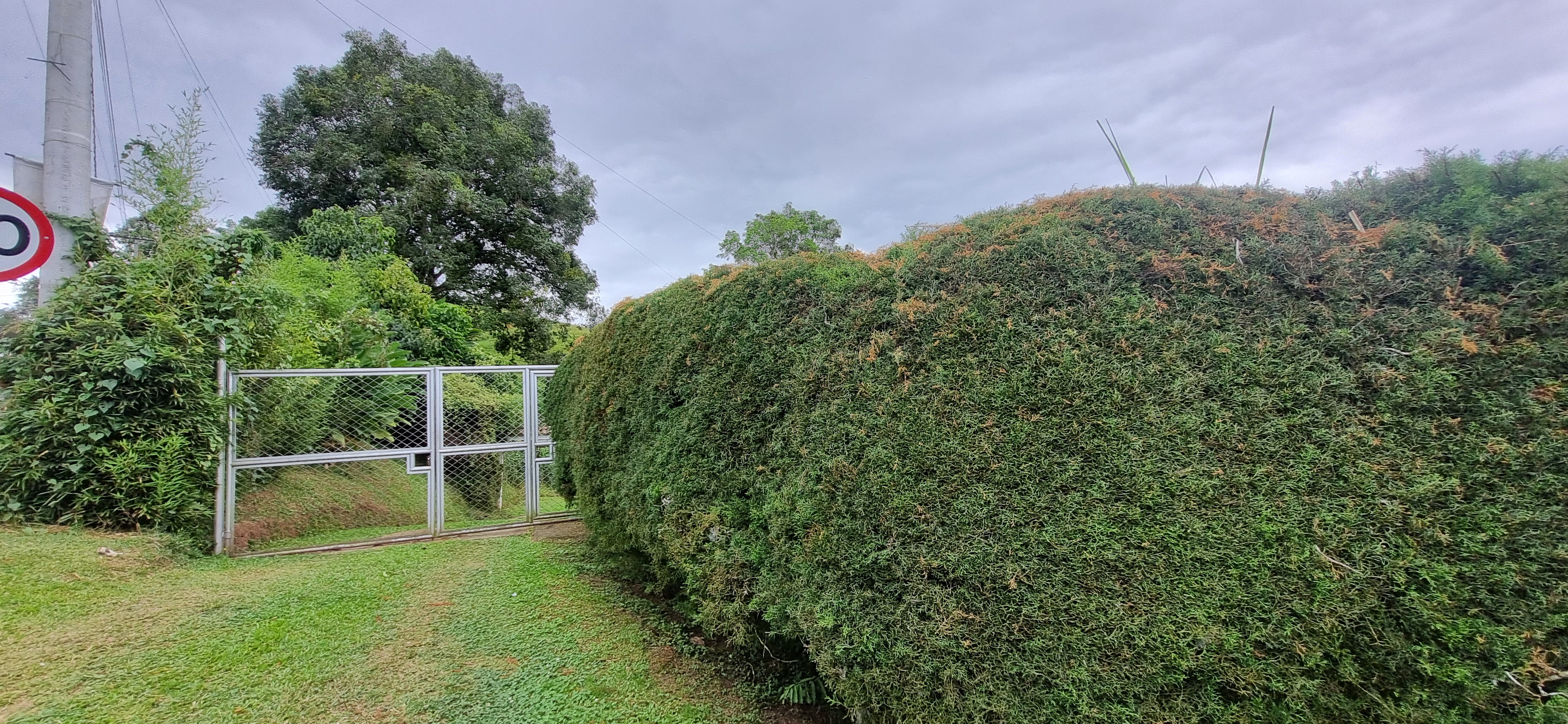 Vendo Finca en el Km 26 Dagua  Via al mar W9384364 ISA-CPH