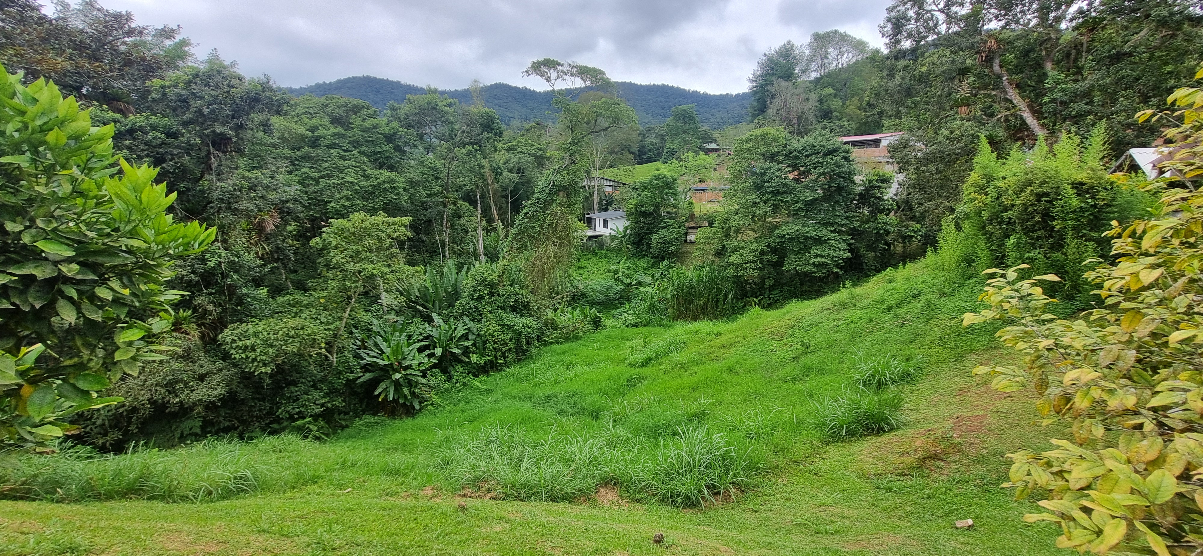 Vendo Finca en el Km 26 Dagua  Via al mar W9384364 ISA-CPH