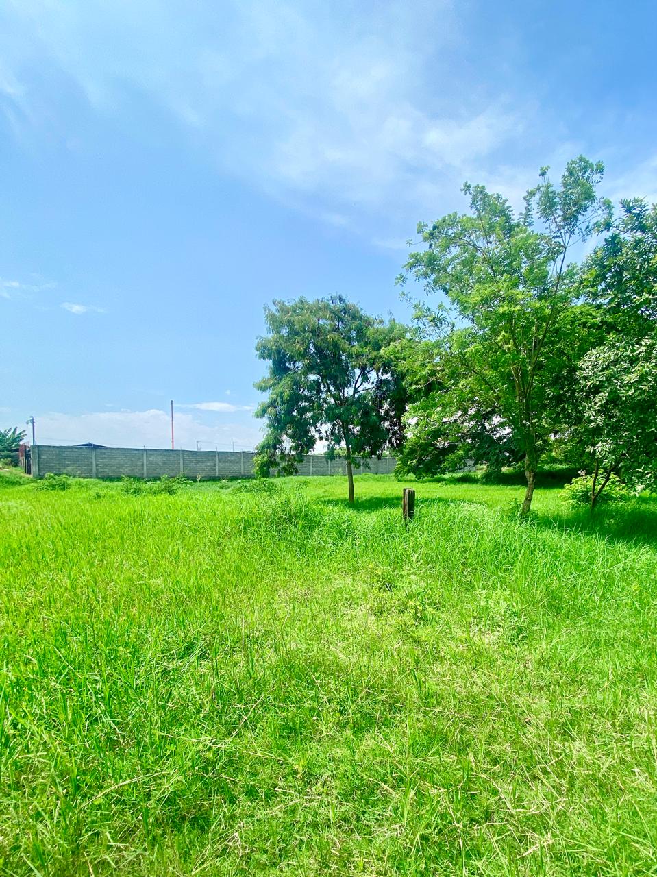 LOTE ESQUINERO DE 14.400MTS sobre vía principal Cali-Rozo