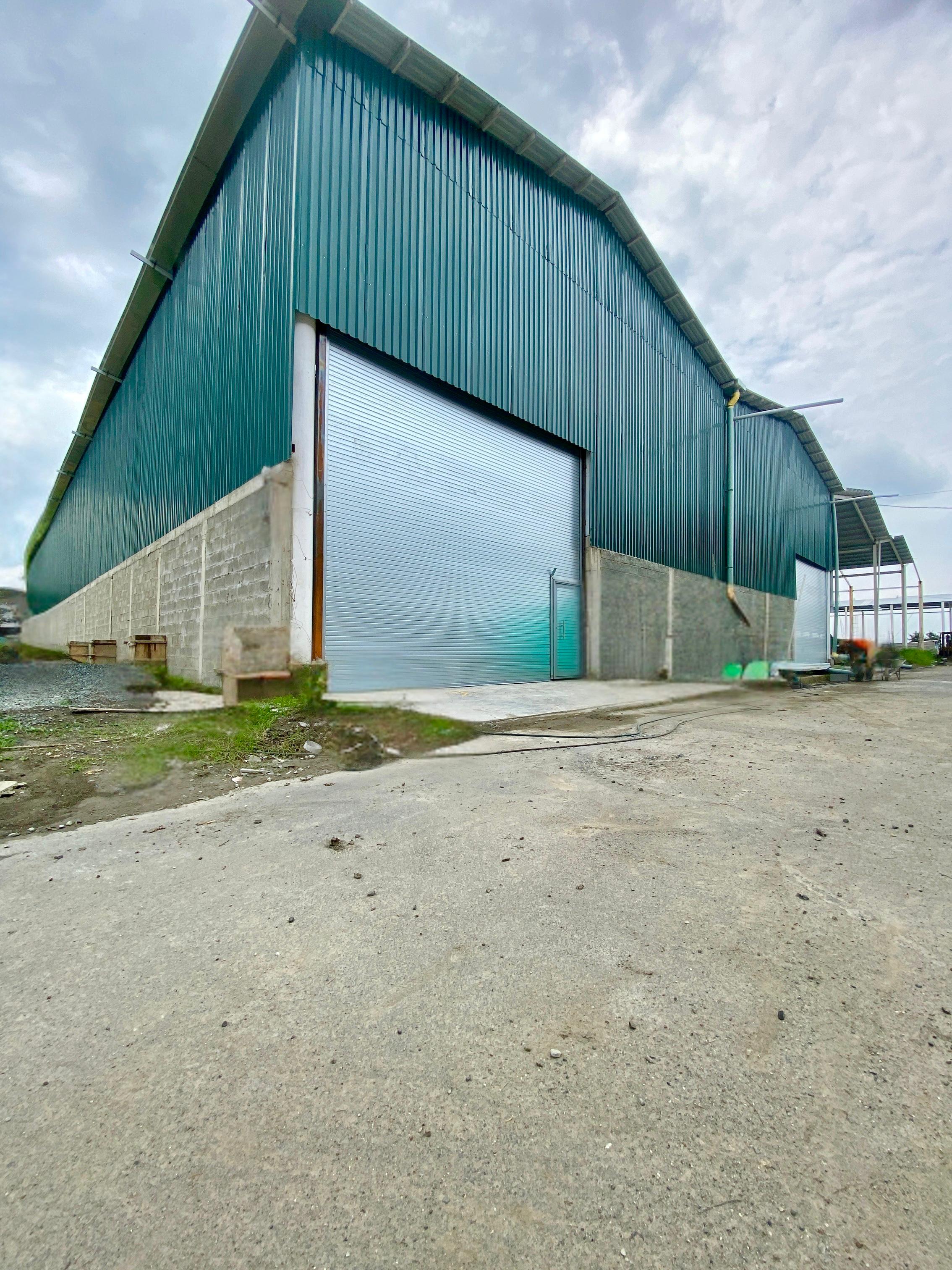 SE VENDE BODEGA RENTANDO $31M NETO EN PALMASECA