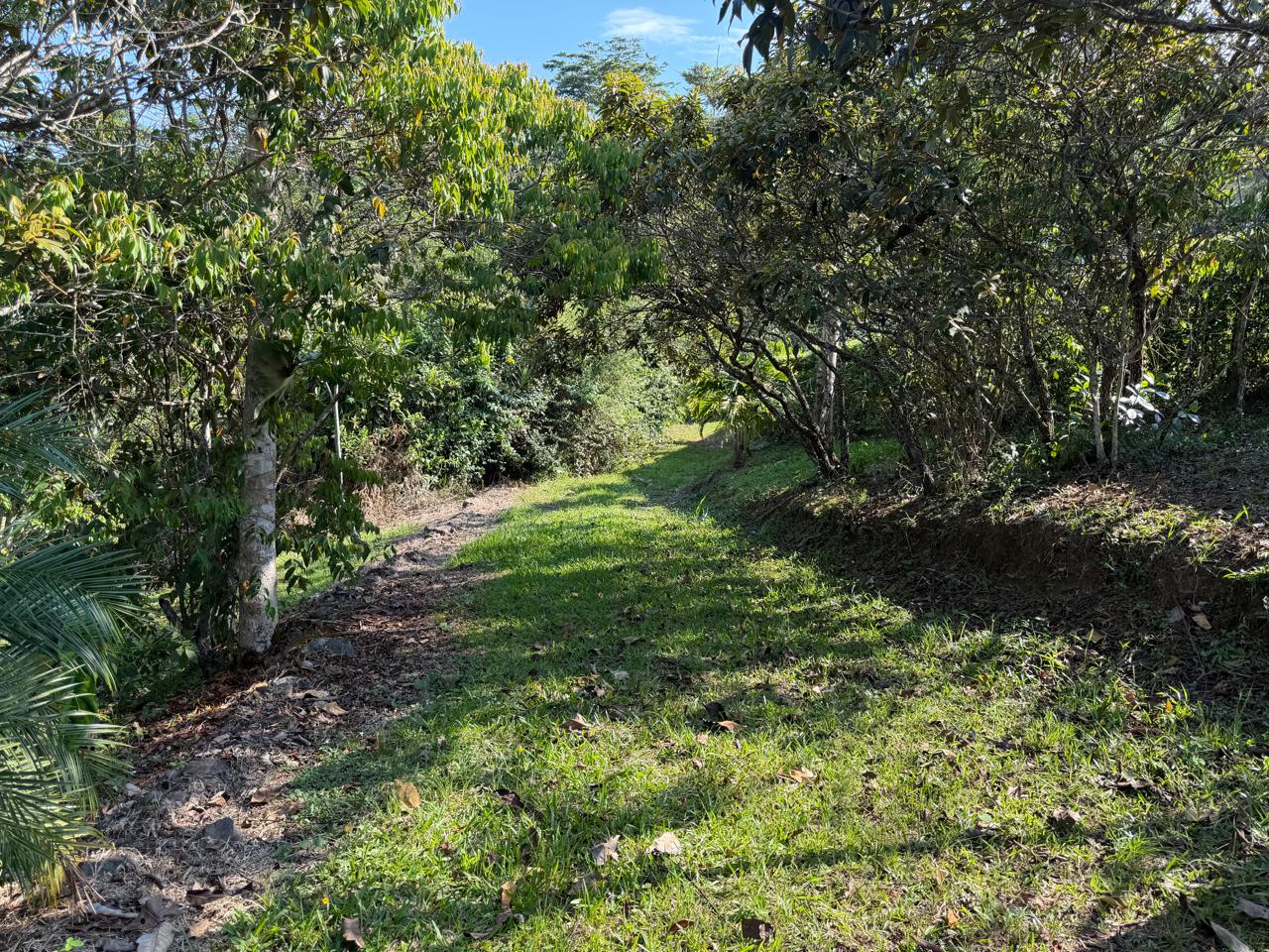 Lote en condominio