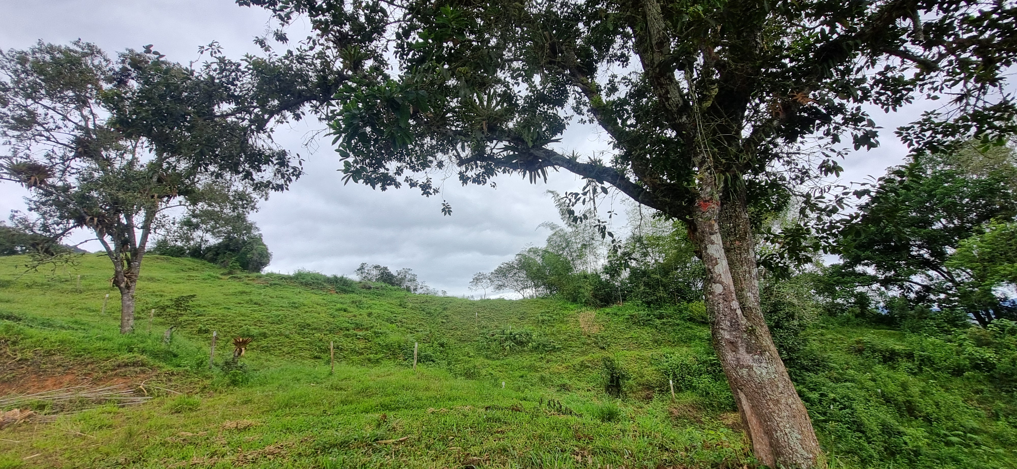 Vendo Finca en el Km 26 Dagua  Via al mar W9384364 ISA-CPH