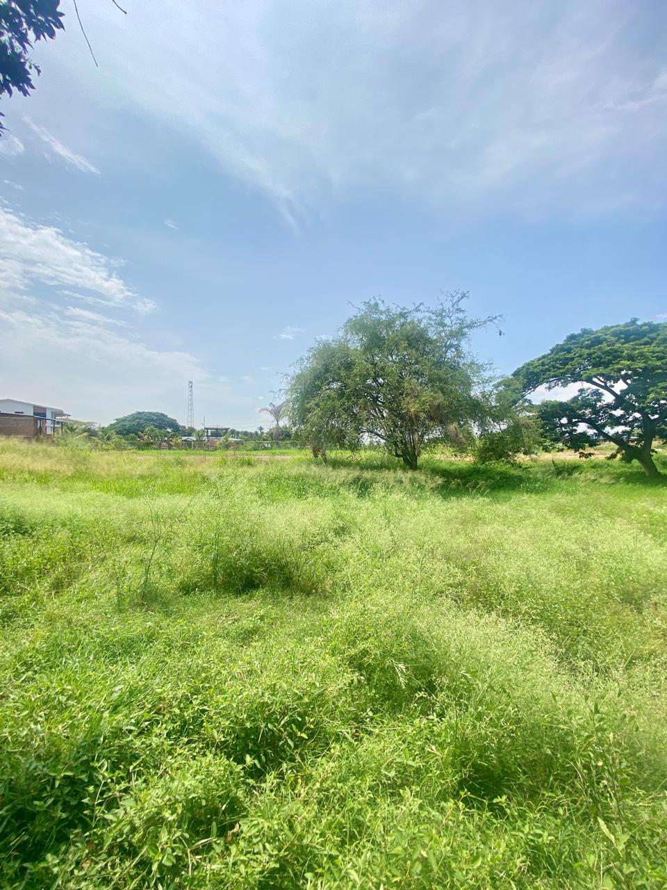 LOTE ESQUINERO DE 14.400MTS sobre vía principal Cali-Rozo