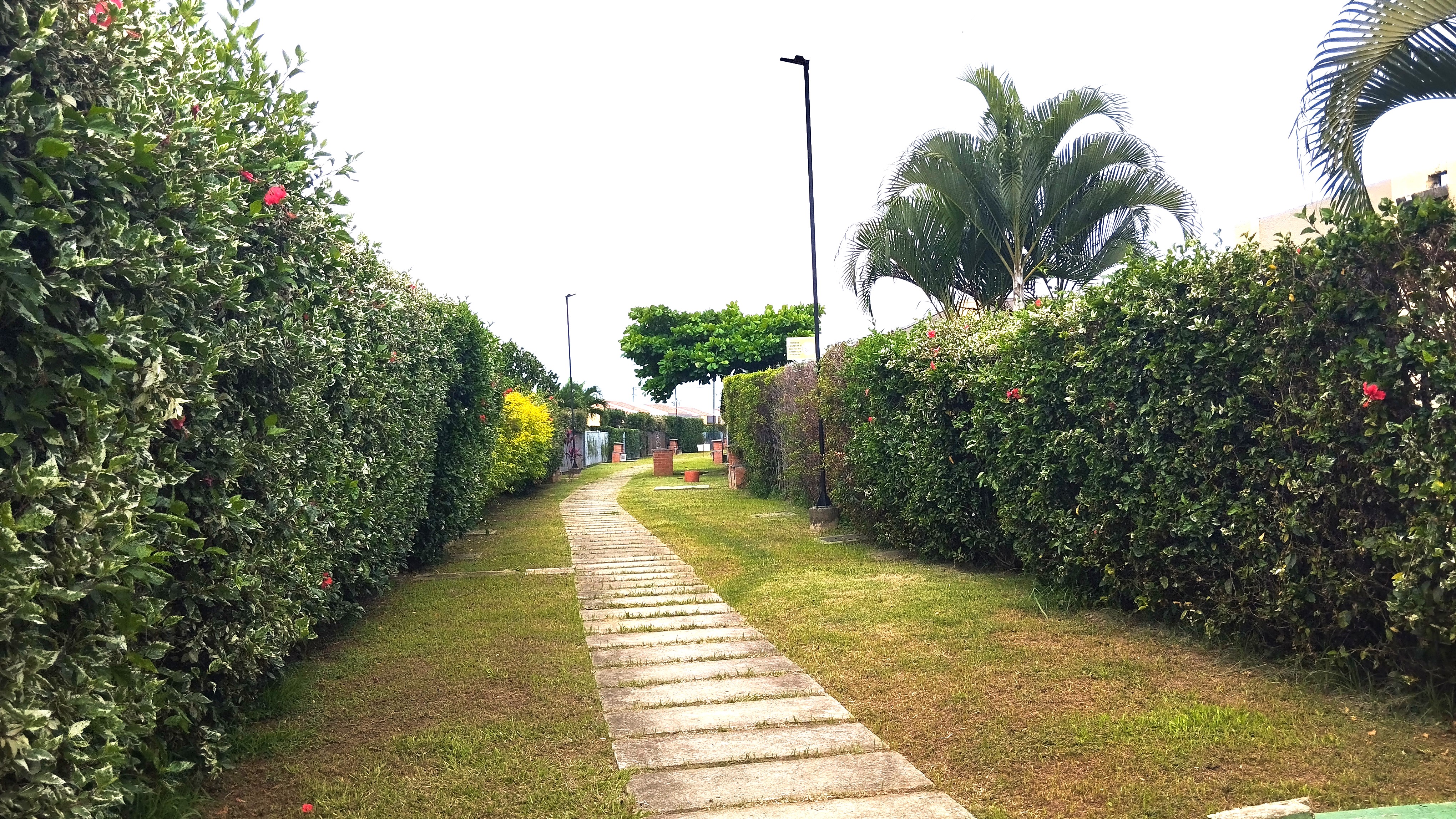 CONJUNTO RESIDENCIAL AZUCENAS DEL CASTILLO JAMUNDI