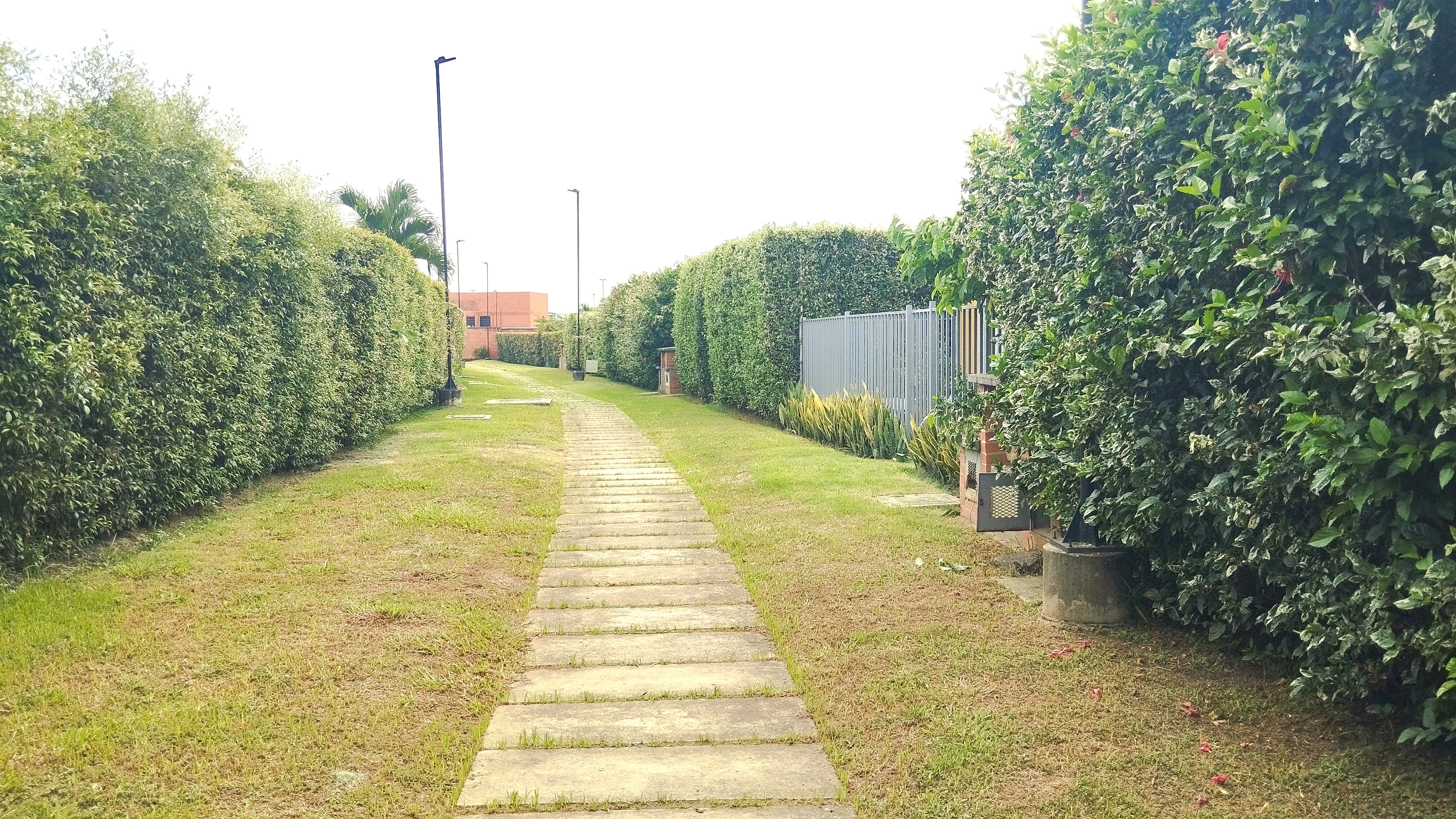 CONJUNTO RESIDENCIAL AZUCENAS DEL CASTILLO JAMUNDI