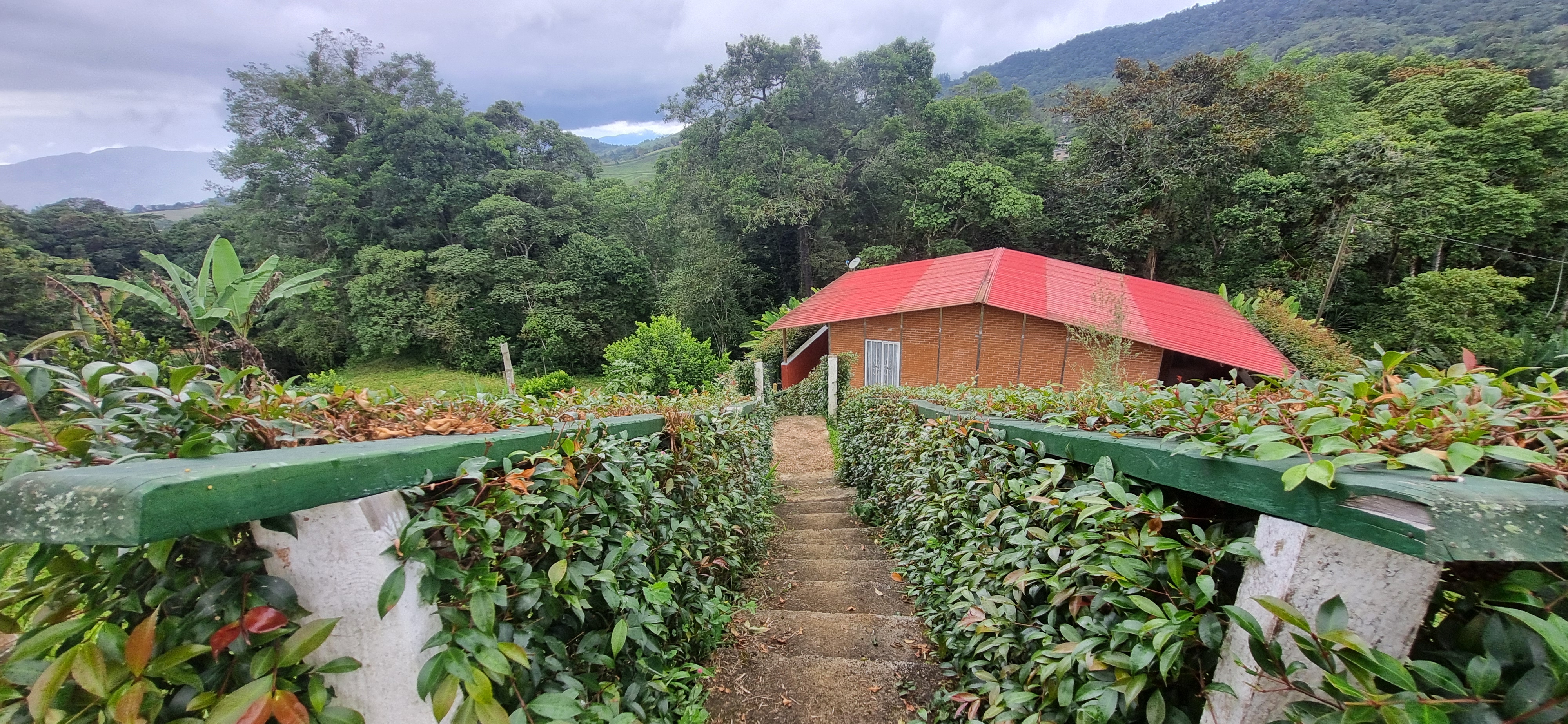 Vendo Finca en el Km 26 Dagua  Via al mar W9384364 ISA-CPH