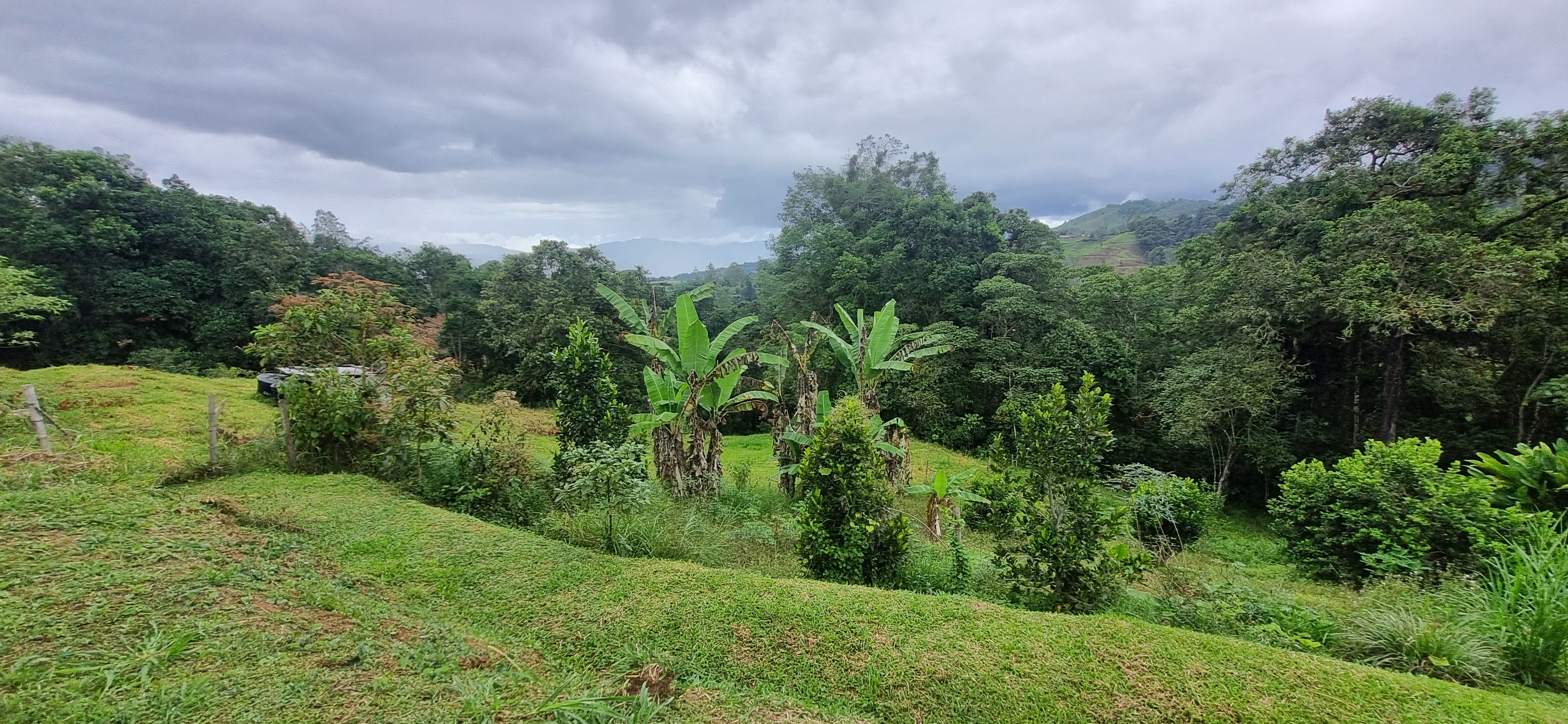 Vendo Finca en el Km 26 Dagua  Via al mar W9384364 ISA-CPH