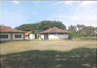 VENTA DE FINCA DE PESEBRERAS, CORREGIMIENTO PALMASECA , ROZO, CH