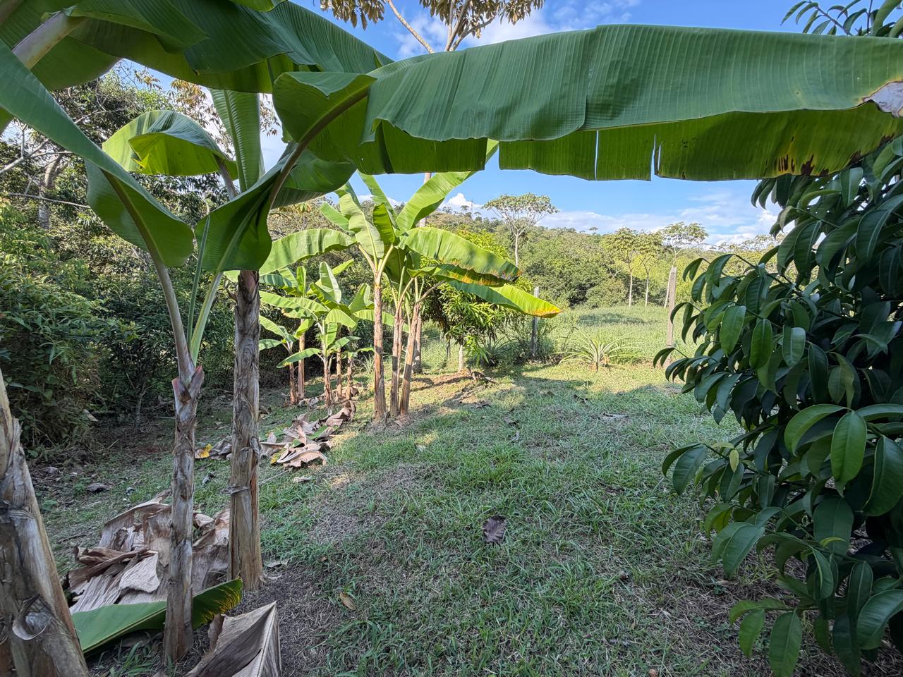 Lote en condominio