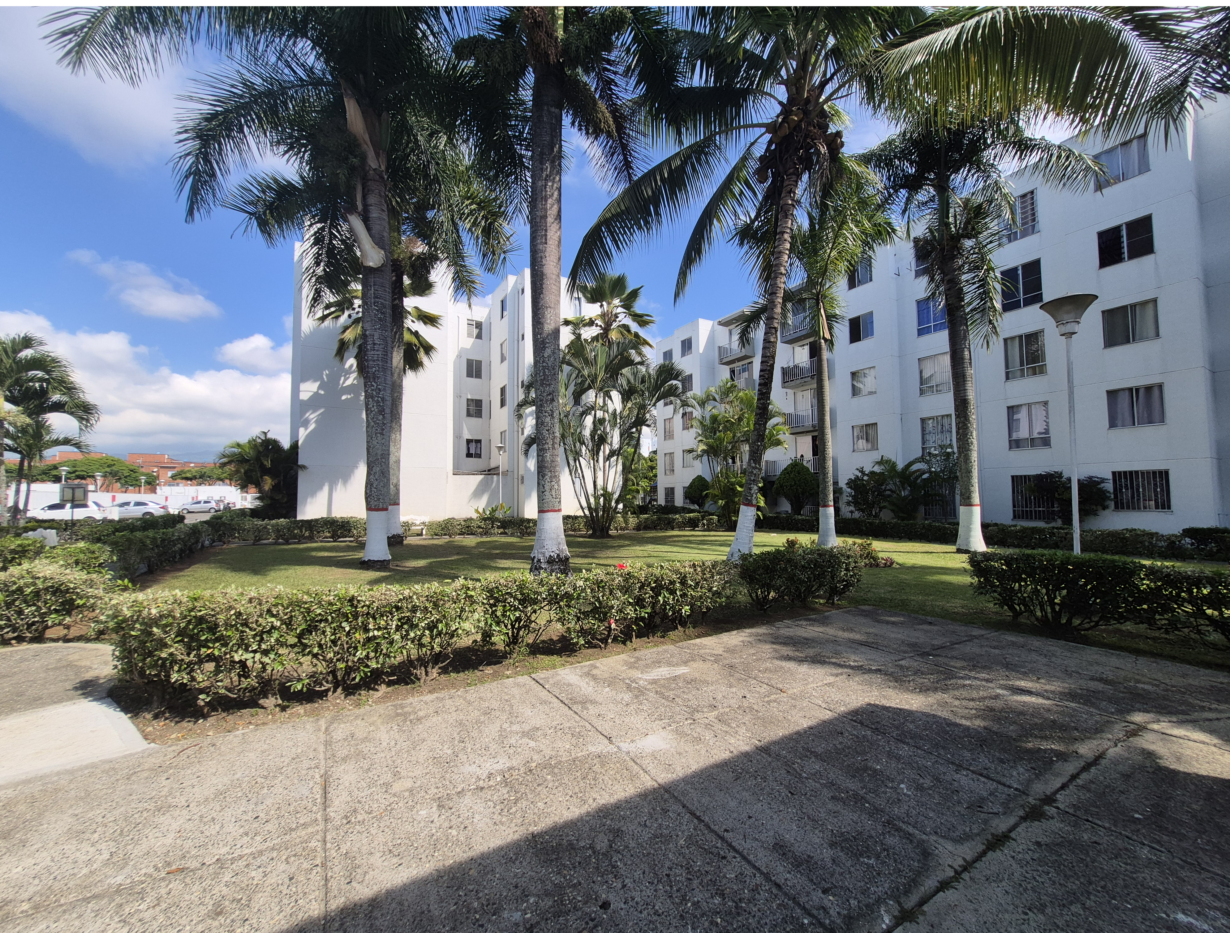 Venta Apartamento Valle del Lili Cali AI