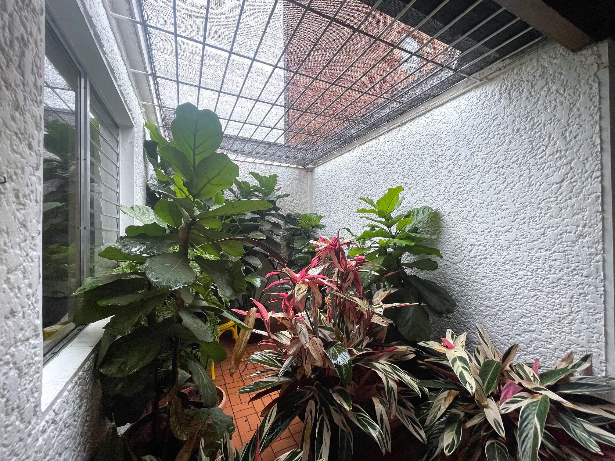 Casa Lote en Venta La Castellana Medellín