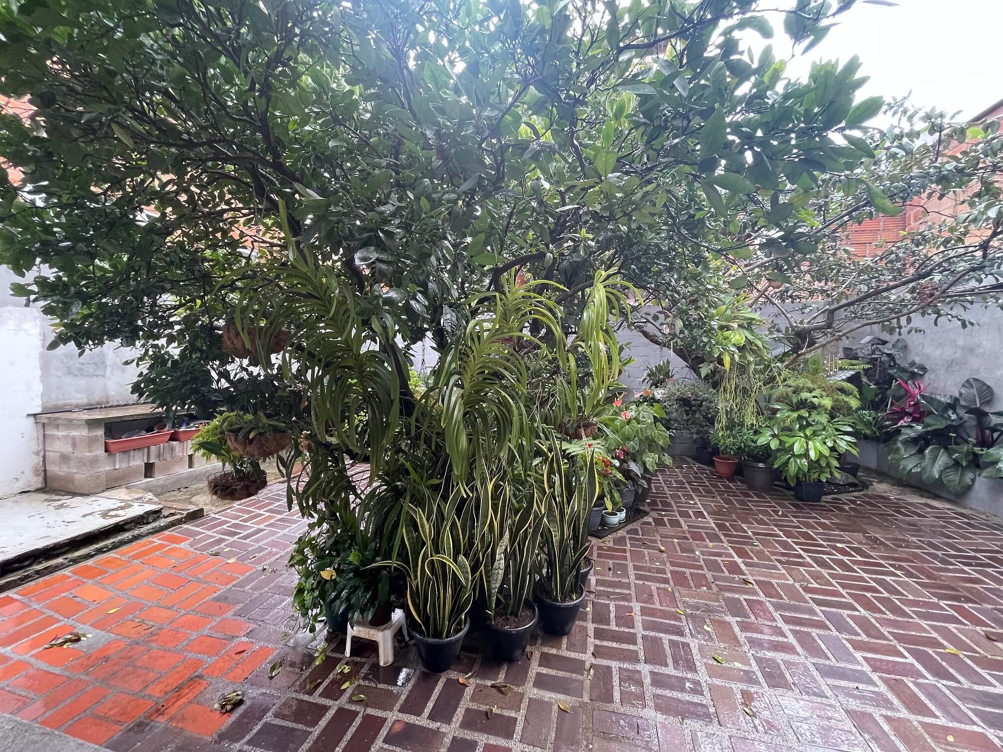 Casa Lote en Venta La Castellana Medellín