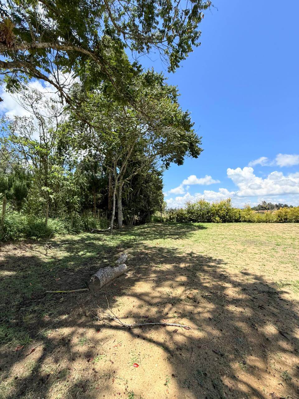 Lote En Venta Carmen De Viboral Antioquia