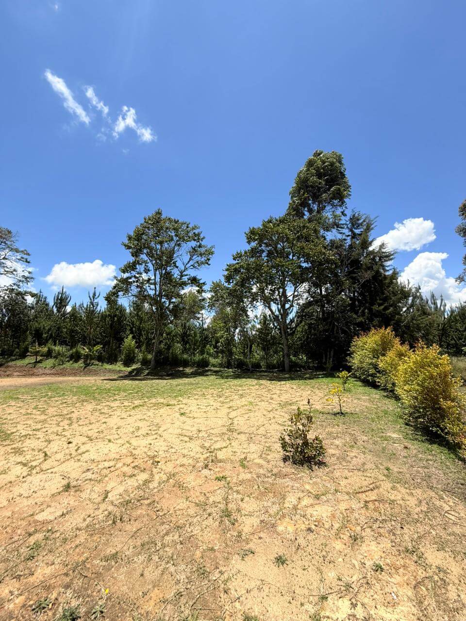 Lote En Venta Carmen De Viboral Antioquia