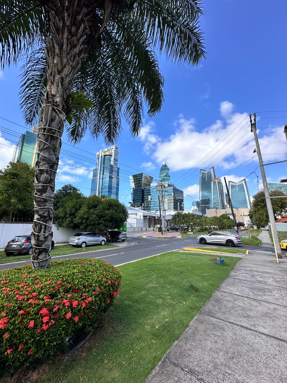 SE VENDEN LOTES DE TERRENO EN EL CORAZÓN DE OBARRIO en Ciudad de Panamá