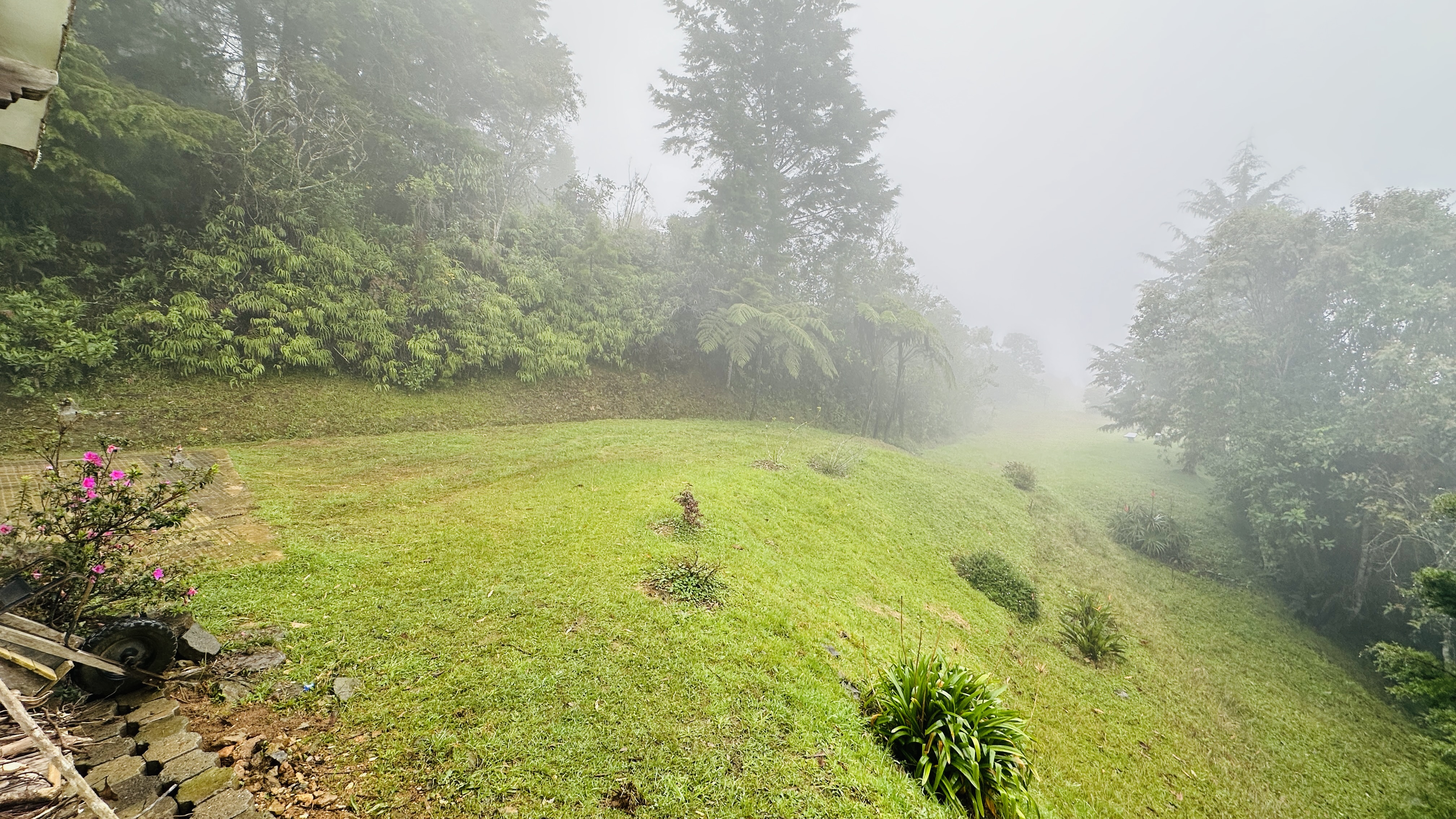 Casa en el alto de las palmas en arriendo