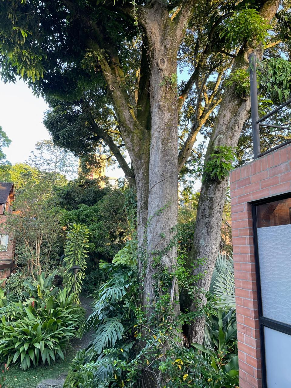 Venta de casa sector Loma de las Brujas Envigado