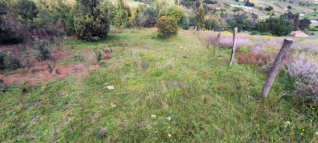 Venta Lote con vista a la laguna de Tota 1000 mts2