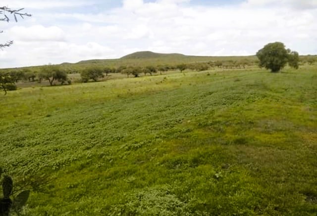 Venta de Terreno en Santa Rosa de Lima, Querétaro.